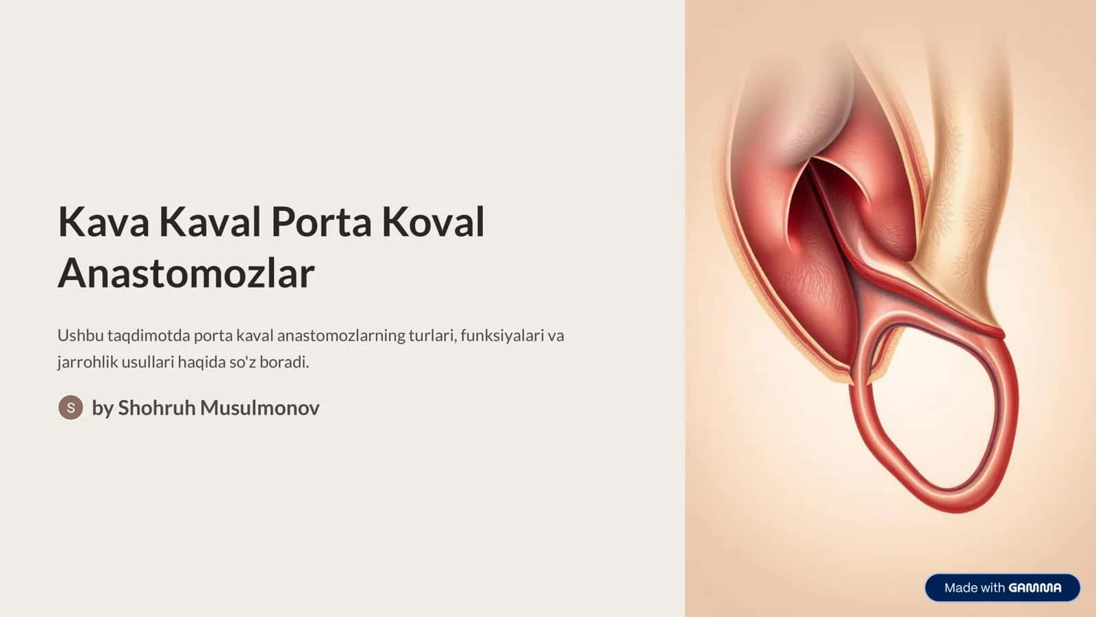 Kava Kaval Porta Koval Anastomozlar