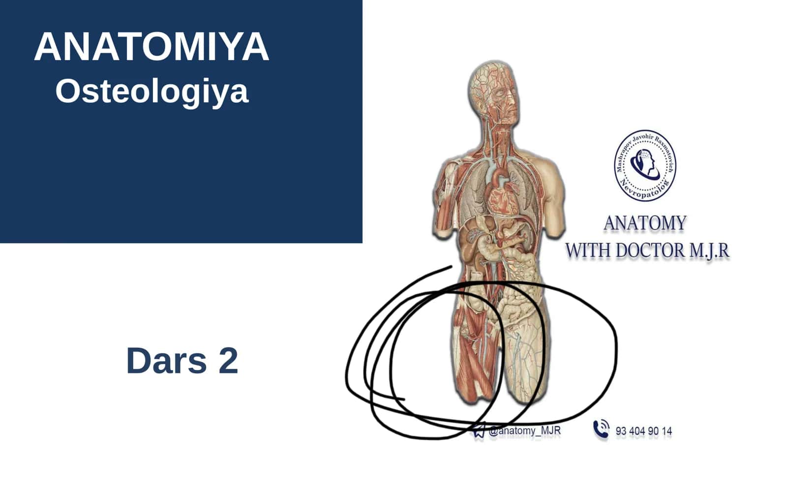 Tosh suyagi-Qovurgalar-Omrov-Kurak