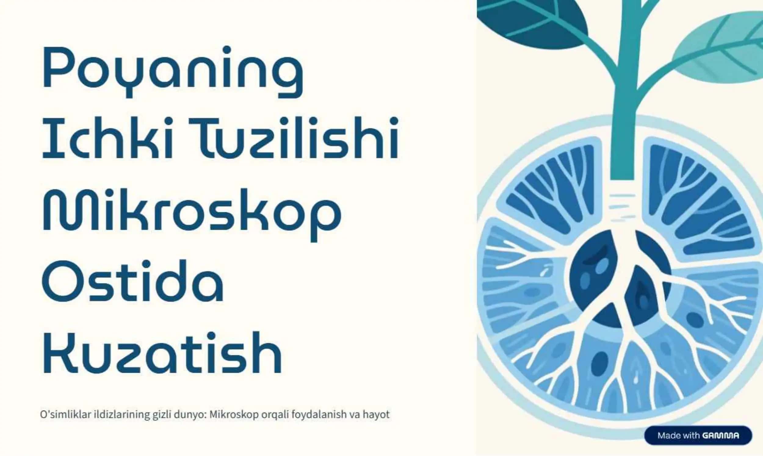 Poyaning Ichki Tuzilishi