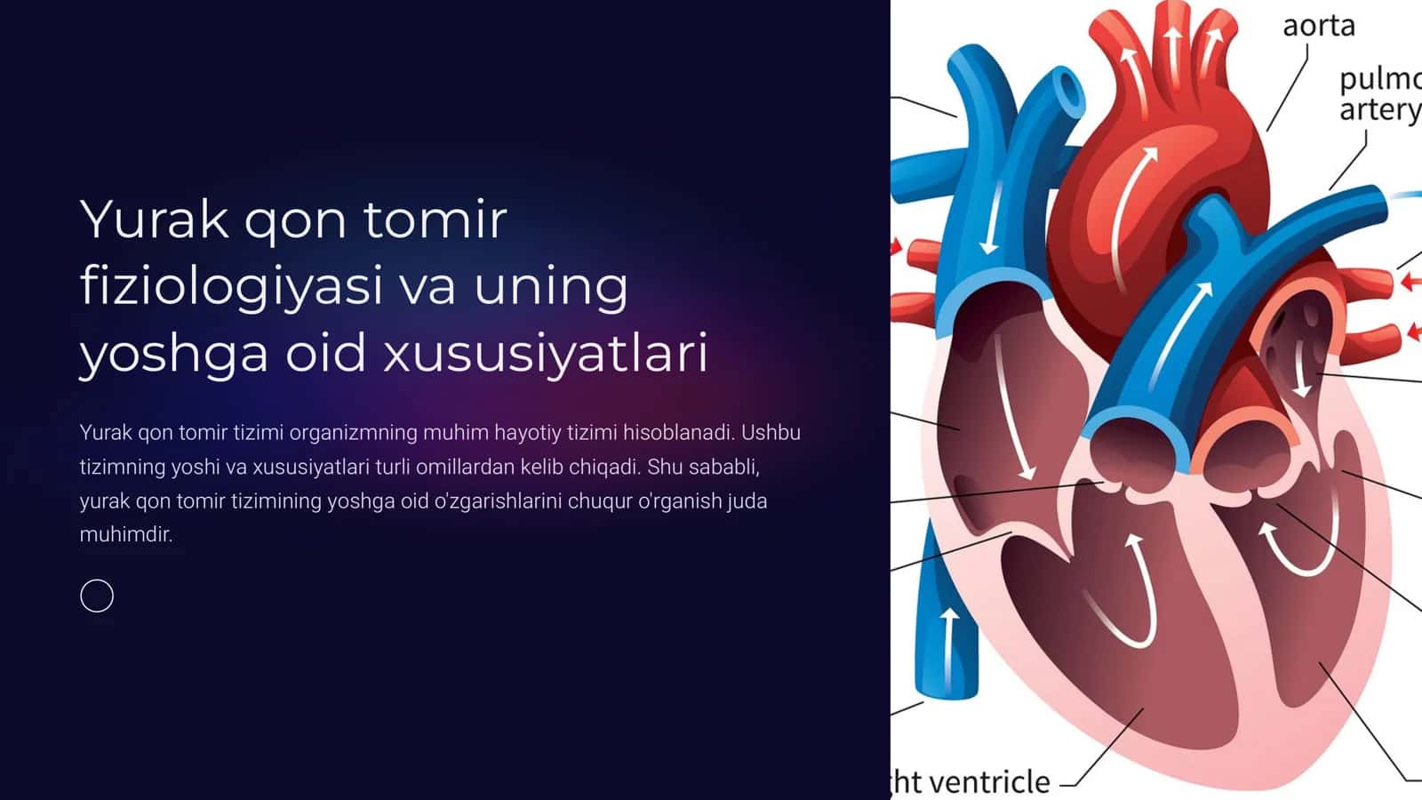 Yurak qon tomir fiziologiyasi va uning yoshga oid xususiyatlari