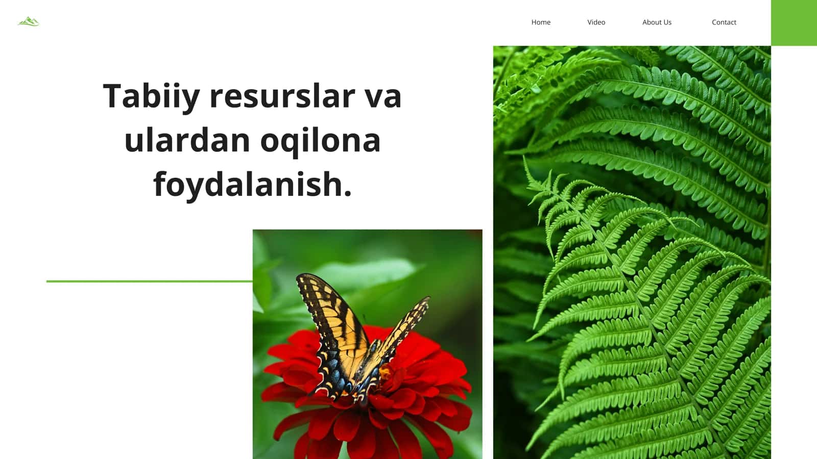 Tabiat resurslari