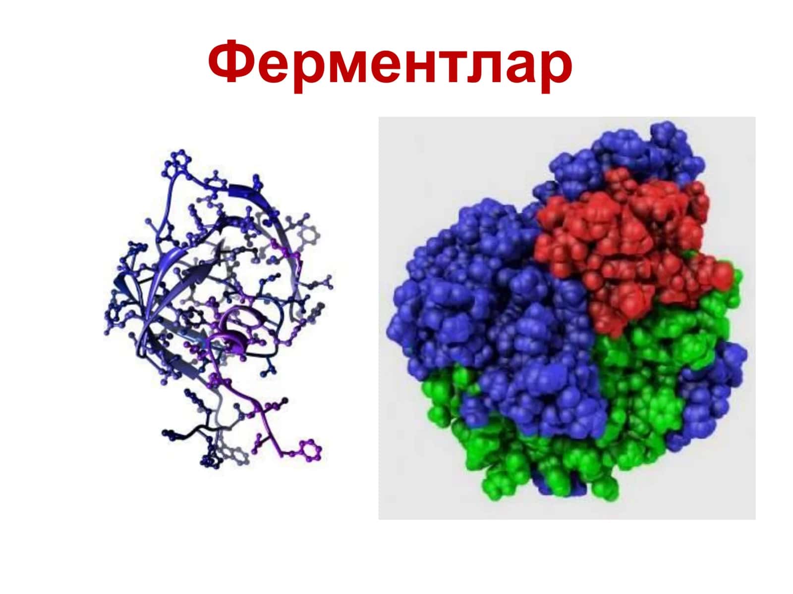 Ферментлар