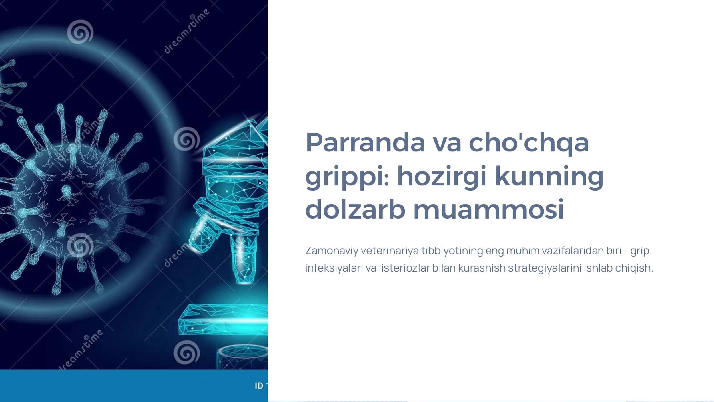 Parranda va cho'chqa grippi va uning hozirgi  kundagi muammolari. Listeriozlarga umumiy  tasnif va patogenezi.