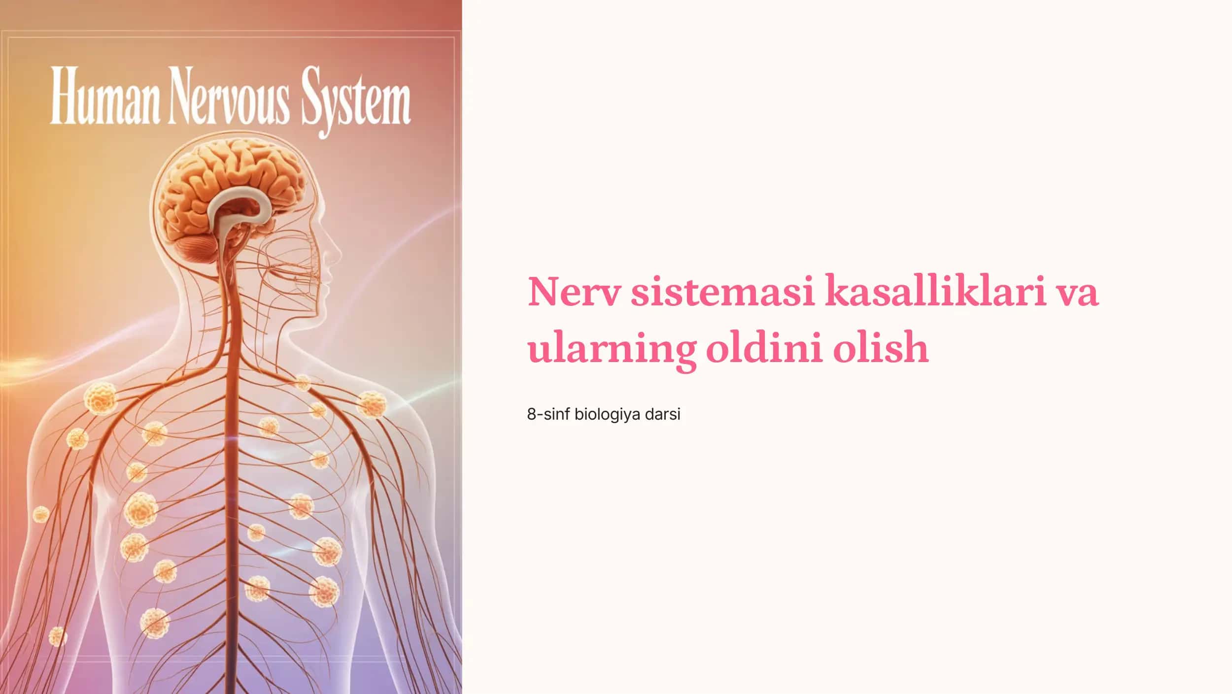 Nerv sistemasi kasalliklari va ularning oldini olish