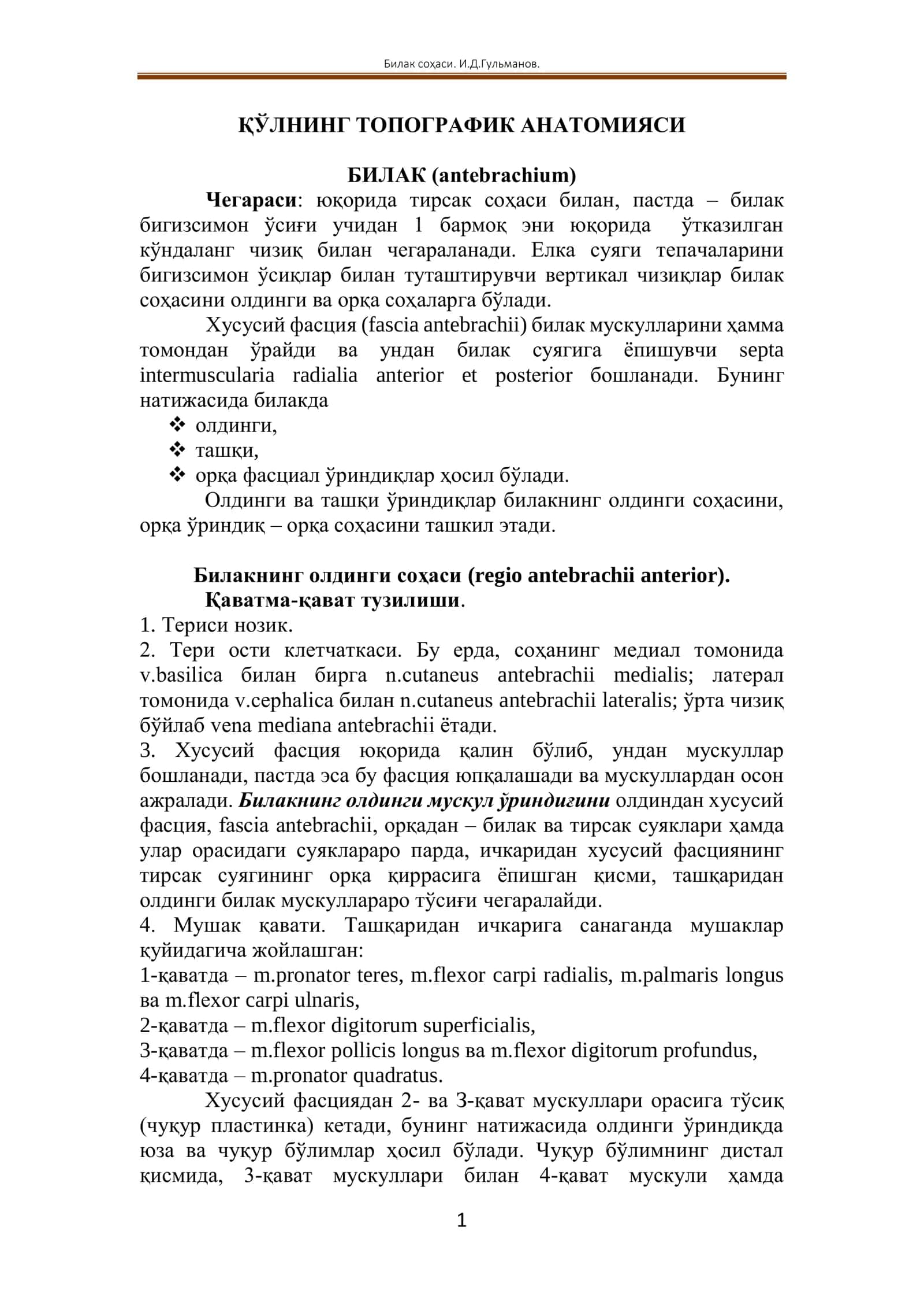 ҚЎЛНИНГ ТОПОГРАФИК АНАТОМИЯСИ