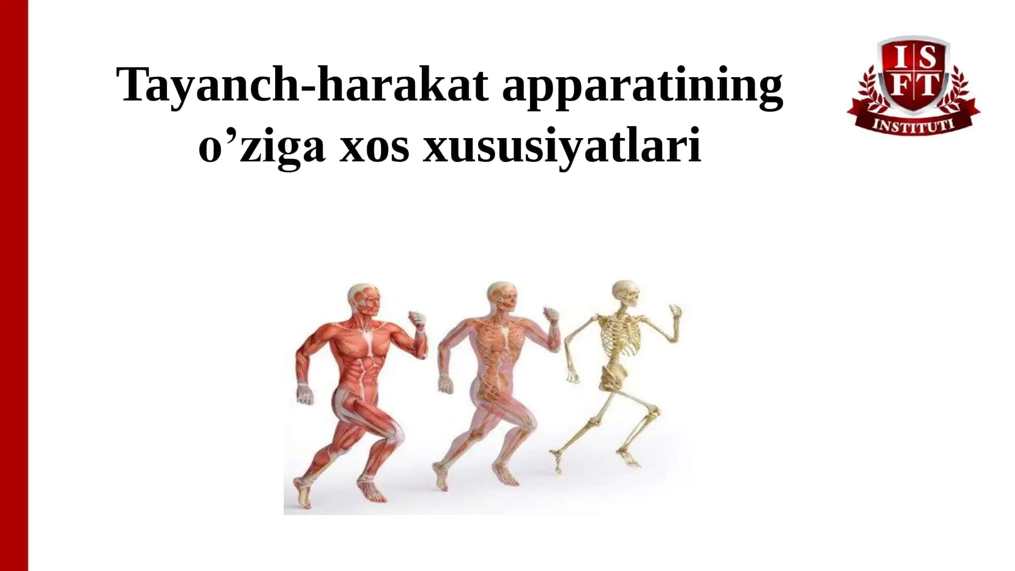 Tayanch-harakat apparati