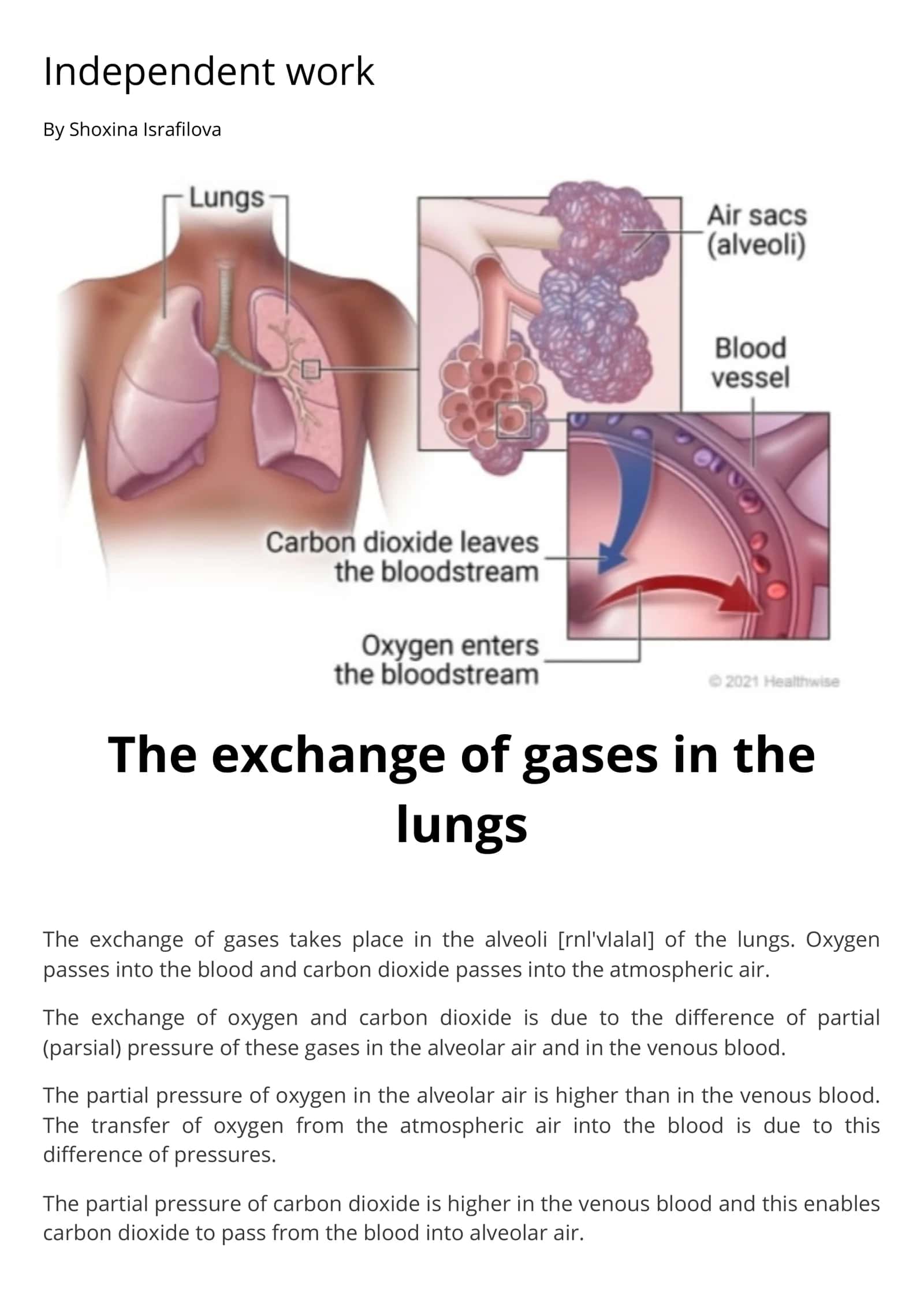 The exchange of gases