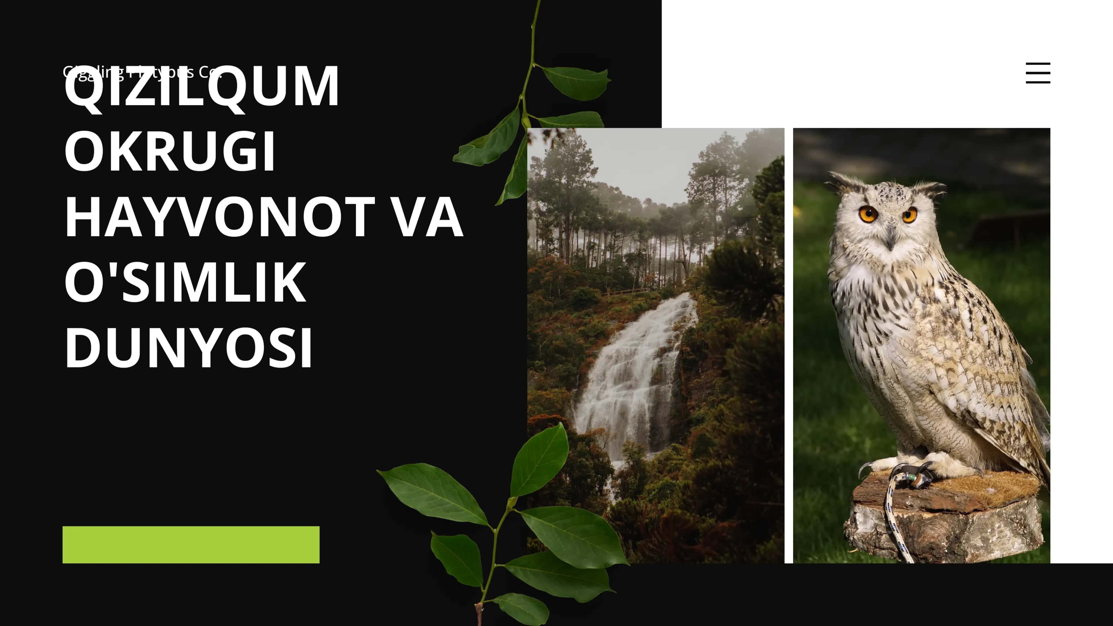Qizilqum okrugi hayvonot va o'simlik dunyosi