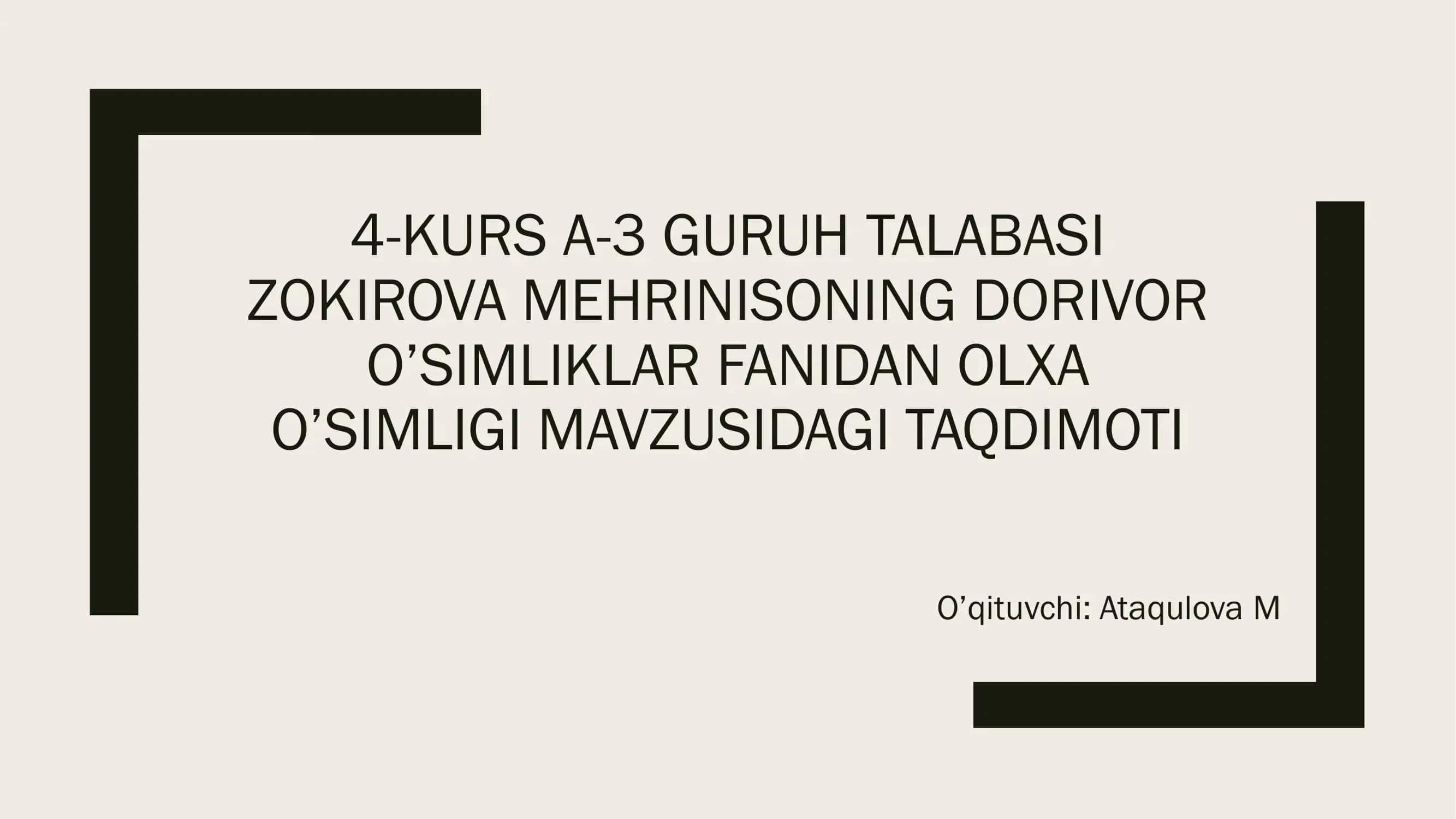 olxa o'simligi