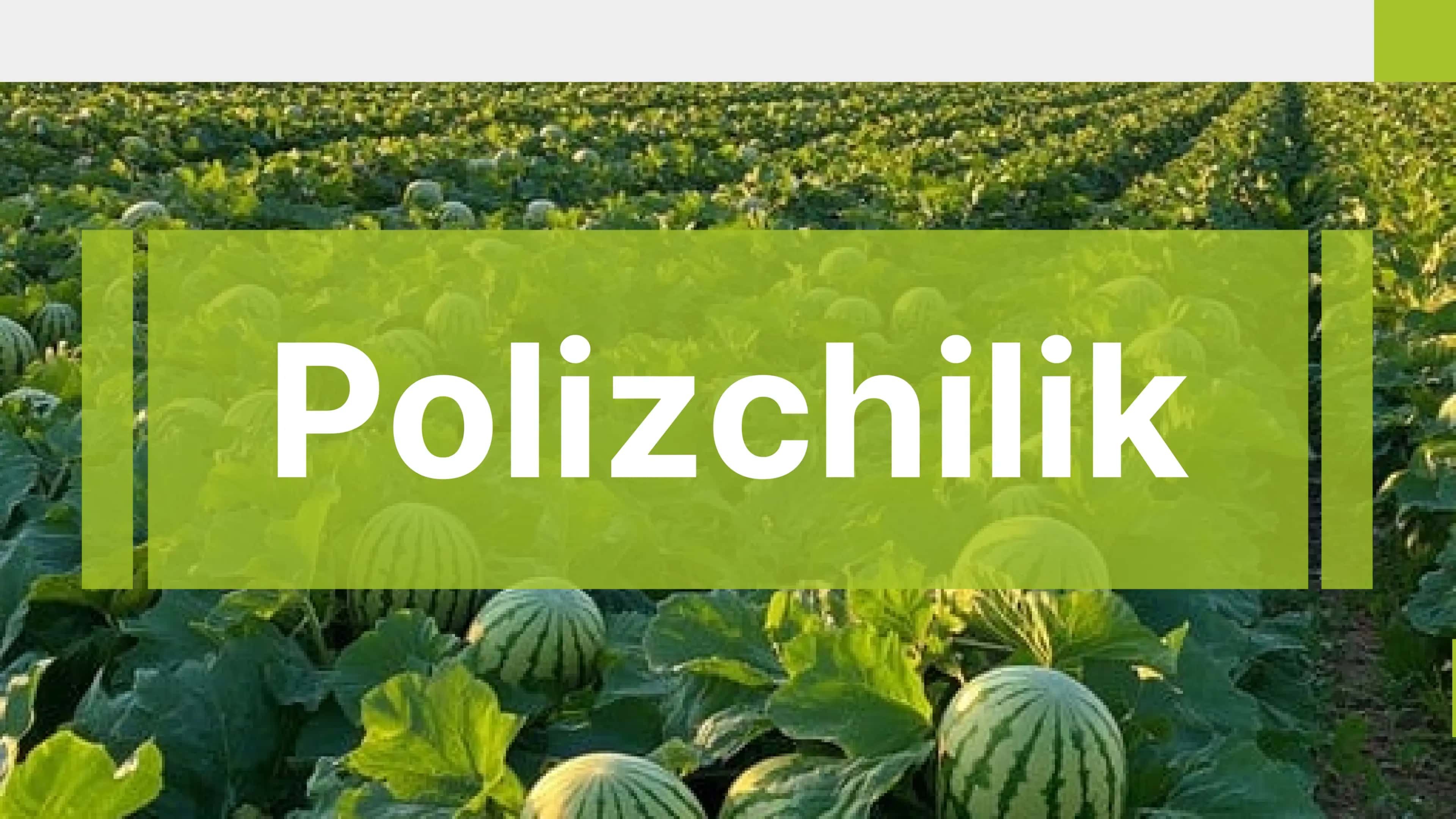 Polizchilik
