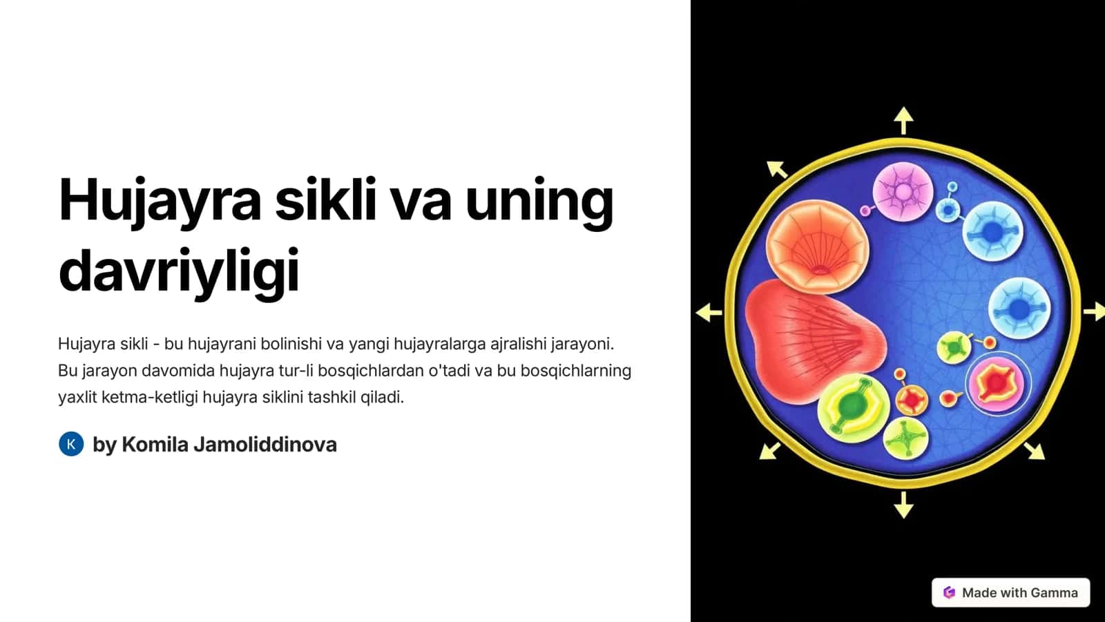 Hujayra sikli va uning davriyligi