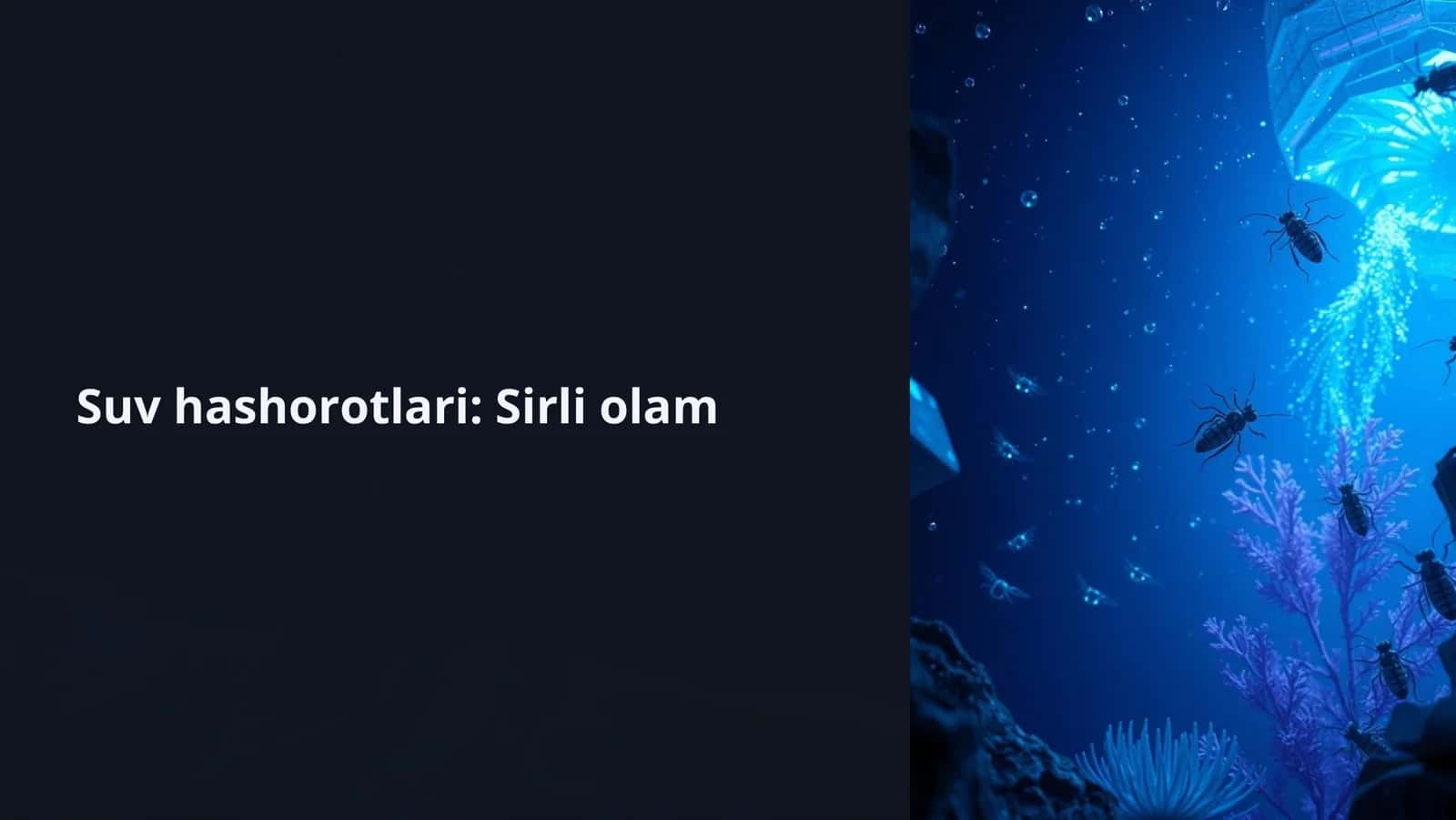 Suv hashorotlari: Sirli olam