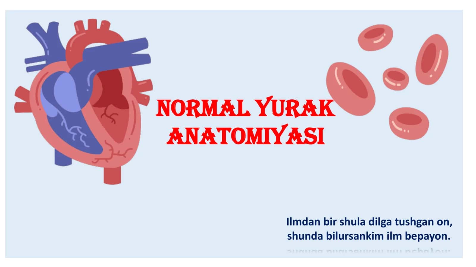 Normal yurak anatomiyasi