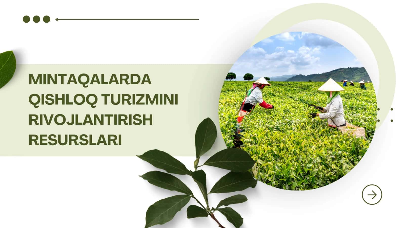 Mintaqalarda qishloq turizmini rivojlantirish resurslari