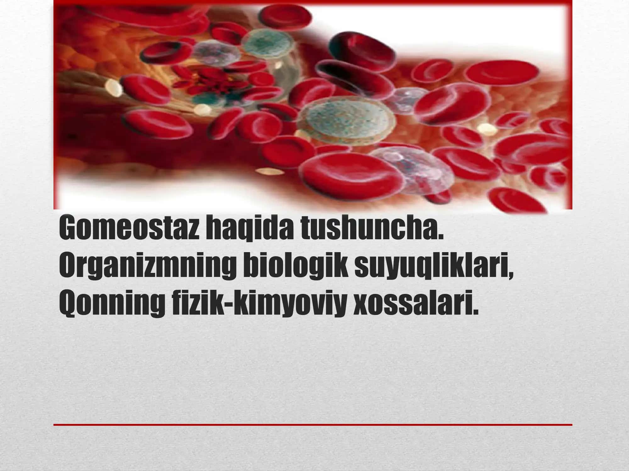 Gomeostaz haqida tushuncha