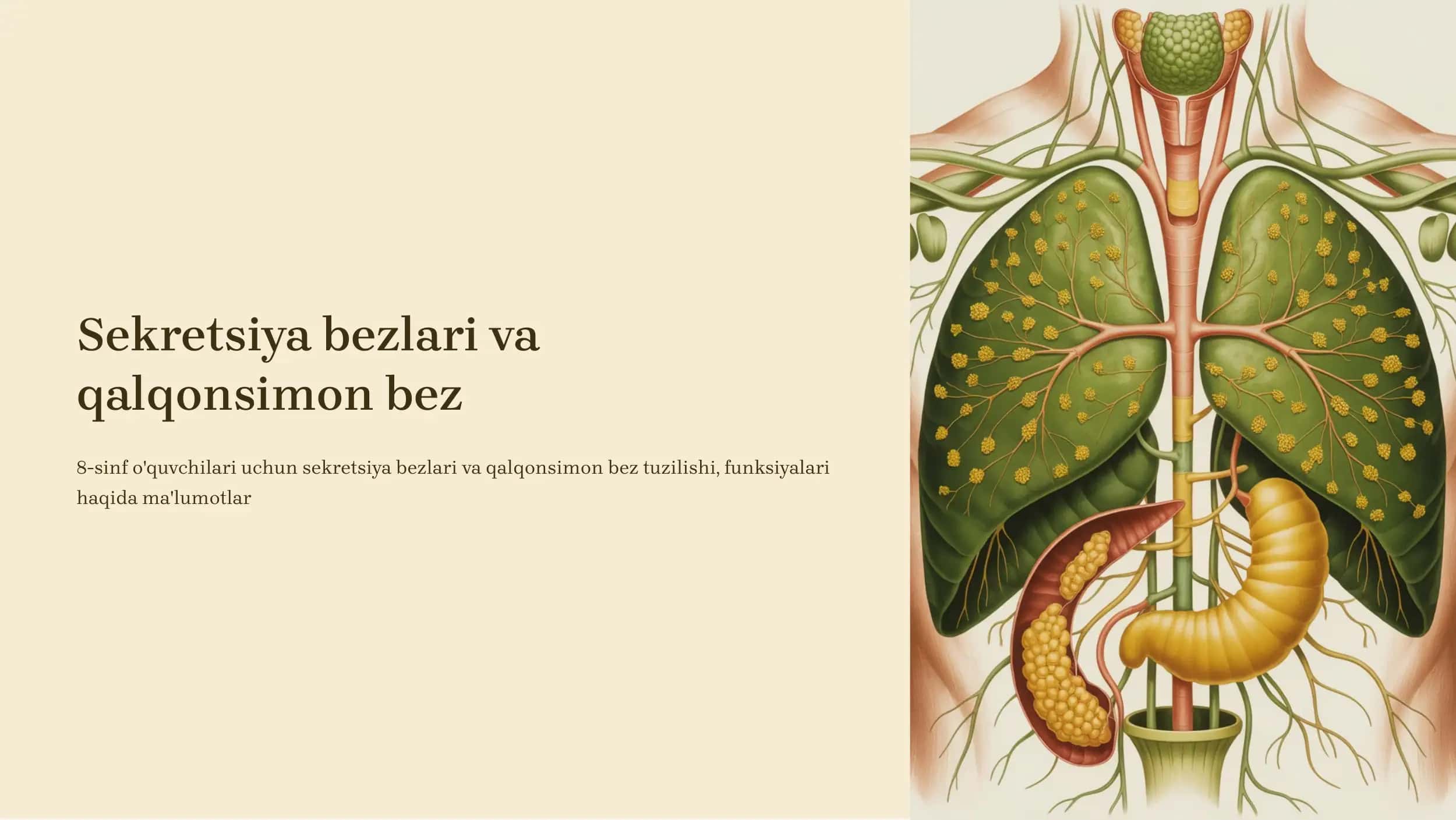 Sekretsiya bezlari va qalqonsimon bez