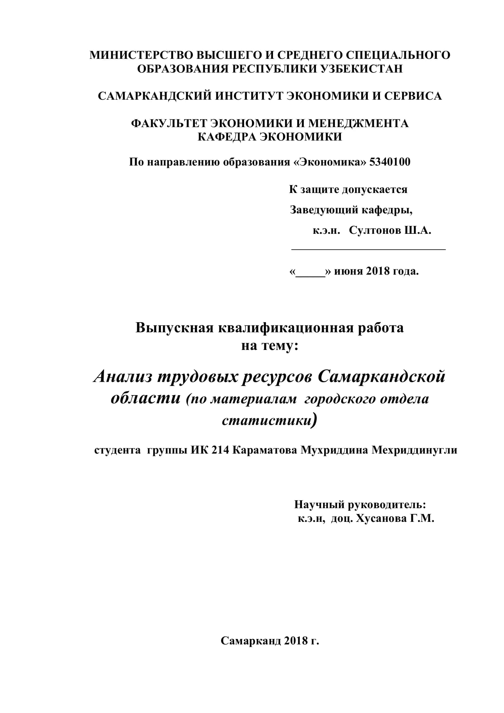 Выпускная квалификационная работа