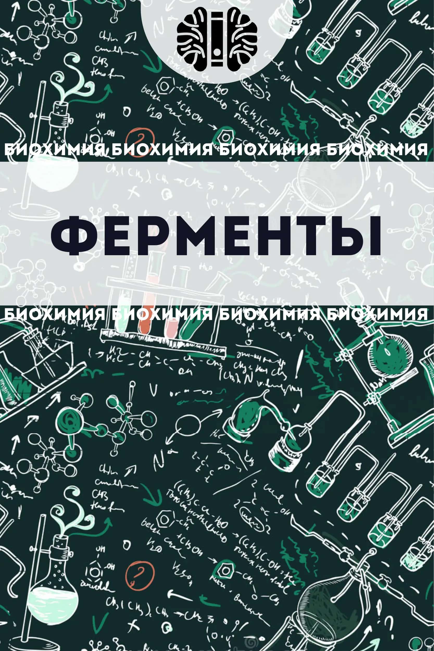 Ферменты (Энзимы)