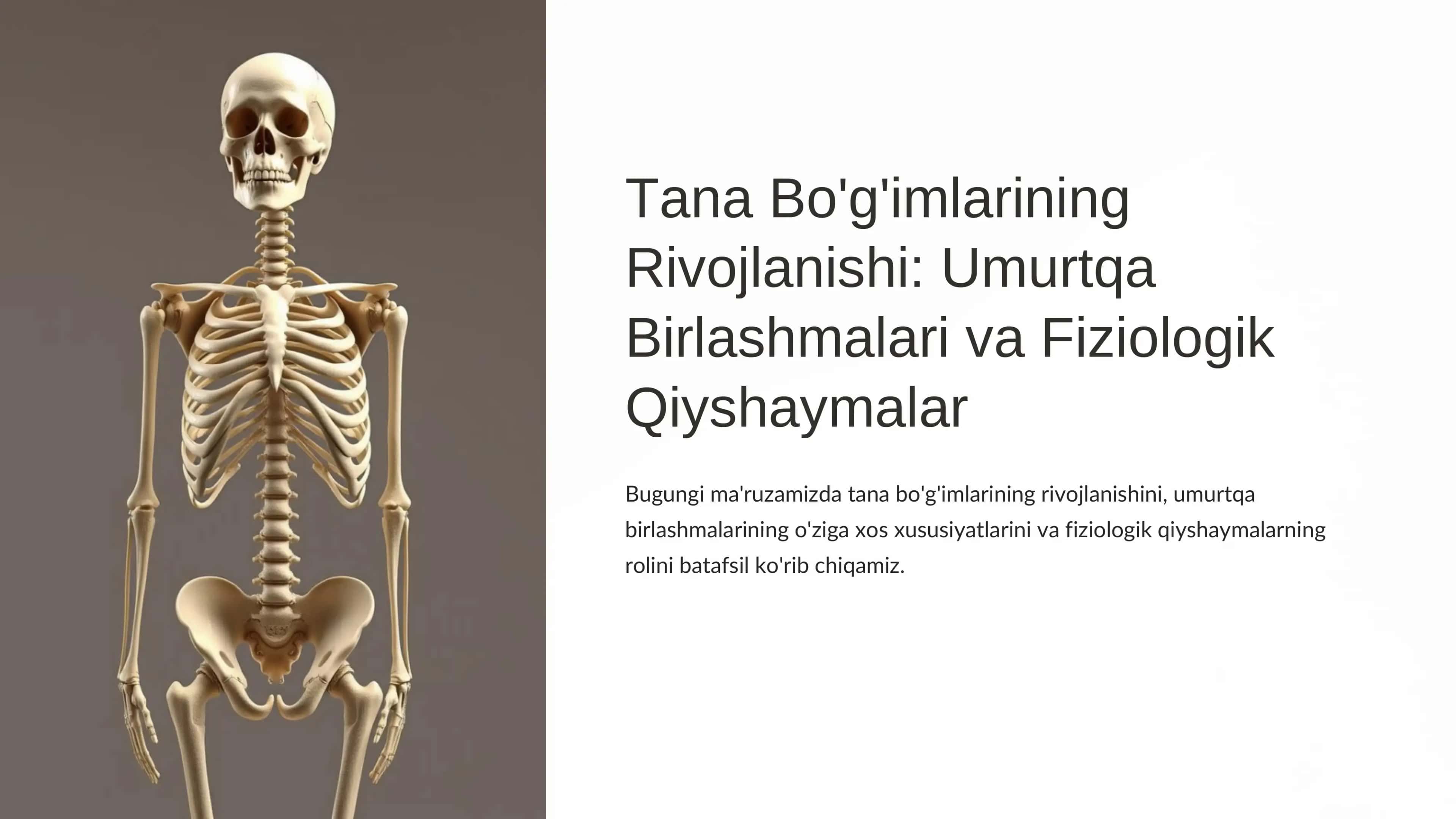 Tana Bo'g'imlarining Rivojlanishi