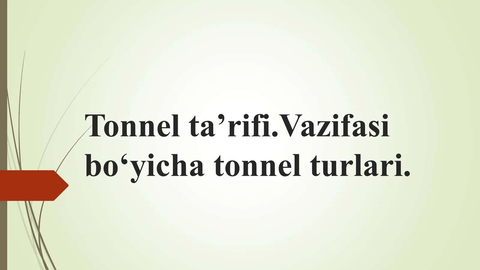 Tonnel ta’rifi.Vazifasi bo‘yicha tonnel turlari