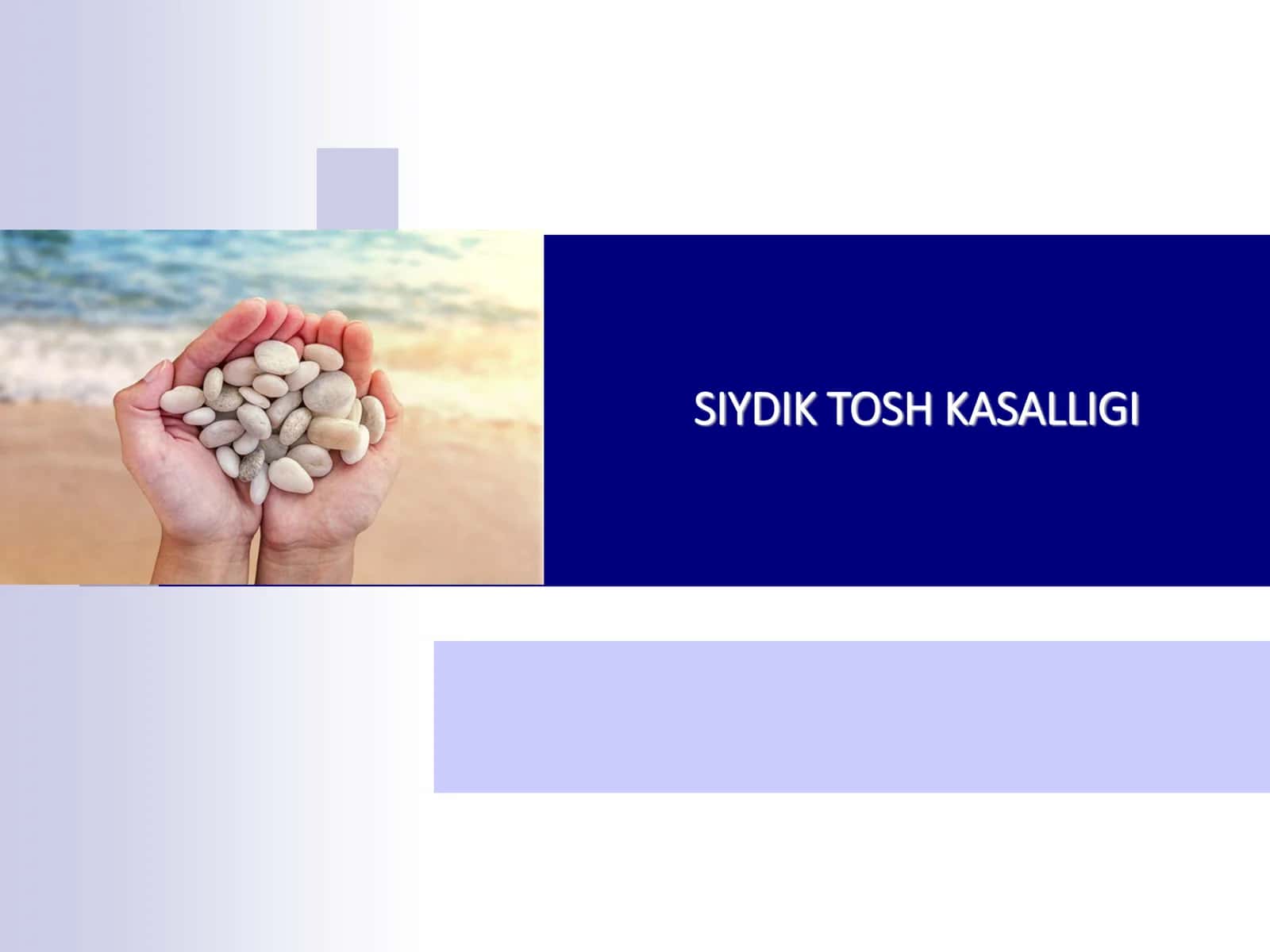 SIYDIK TOSH KASALLIGI