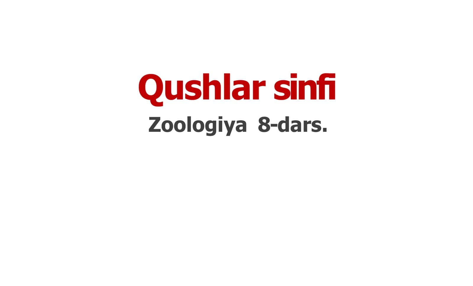 Qushlar sinfi