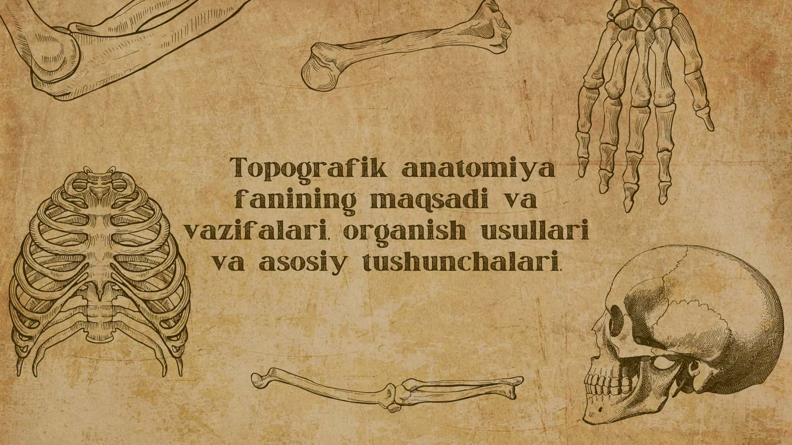 Topografik anatomiya fanining maqsadi va vazifalari, organish usullari va asosiy tushunchalari.
