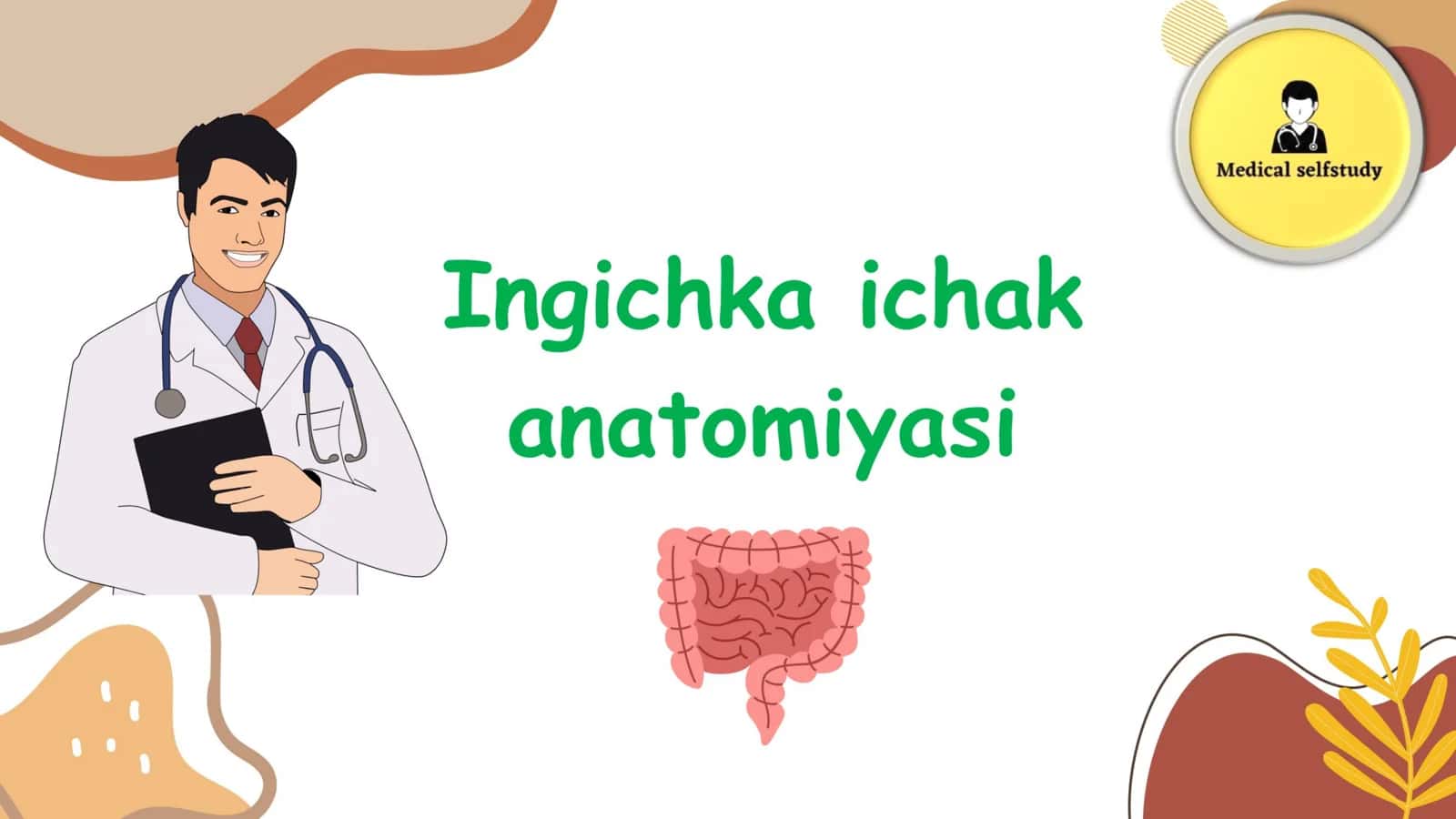 Ingichka ichak