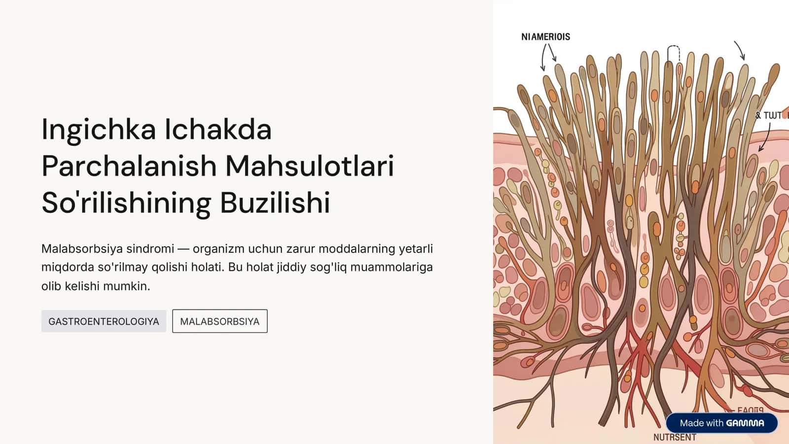 Ingichka Ichakda Parchalanish Mahsulotlari So'rilishining Buzilishi