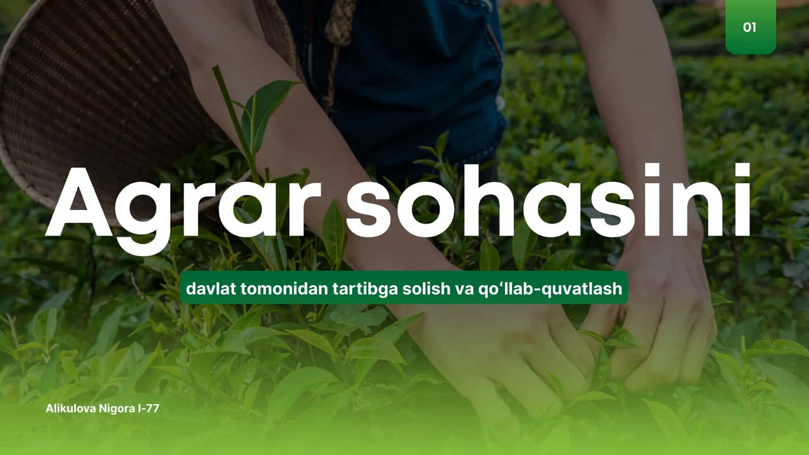 Agrar sohasini davlat tomonidan tartibga solish va qoʻllab-quvatlash