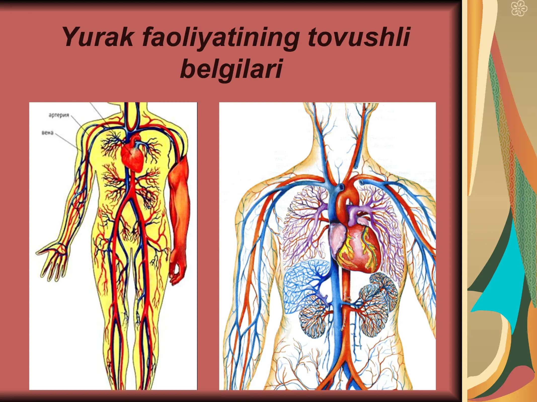 Qon aylanish sistemasi