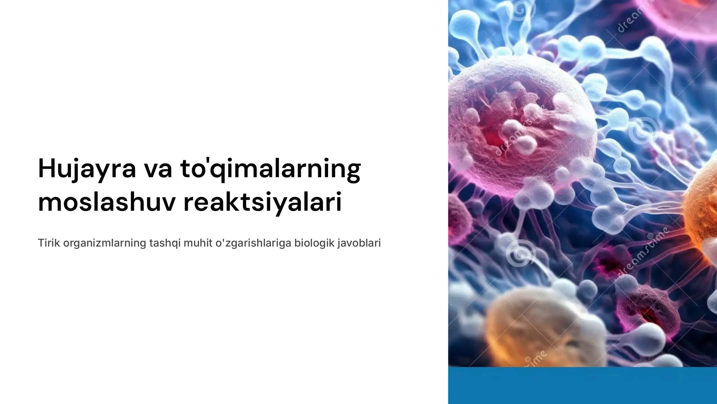 Biologiya fanidan test savollar va javoblar