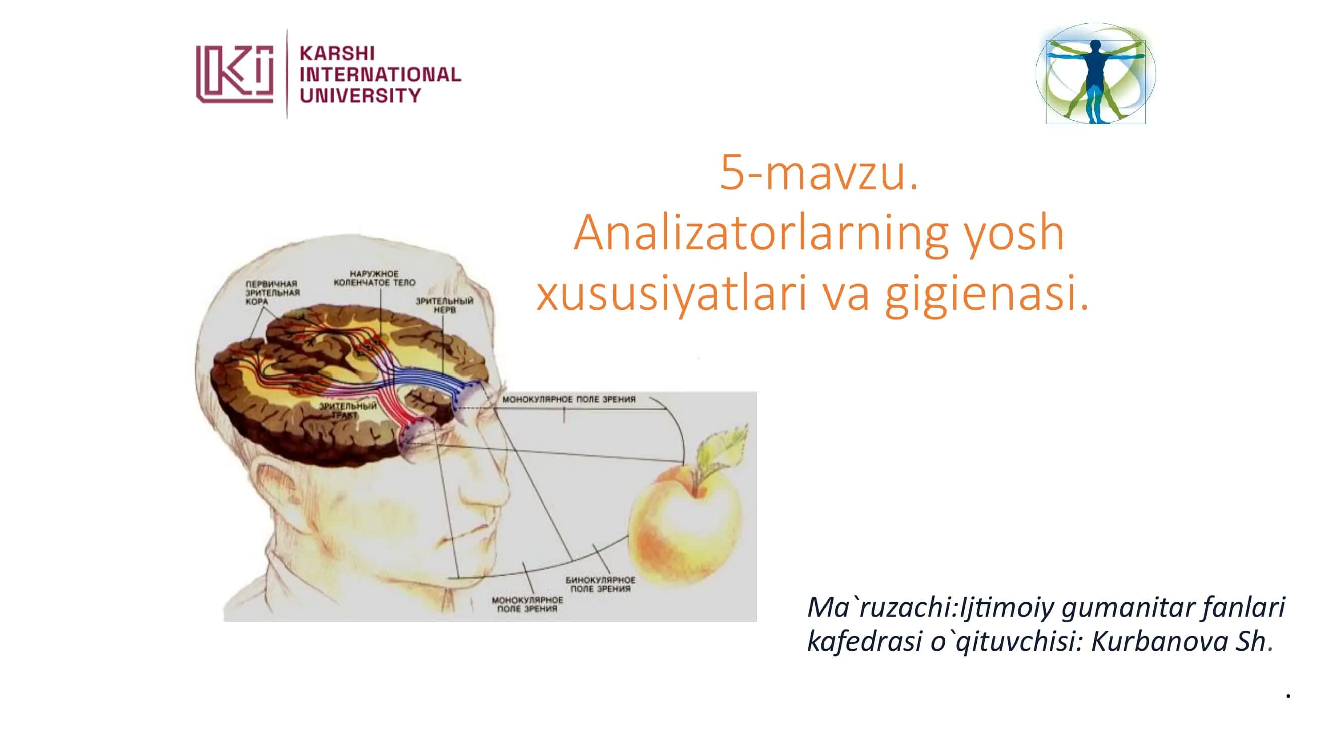 Sensor Tizim - Analizator