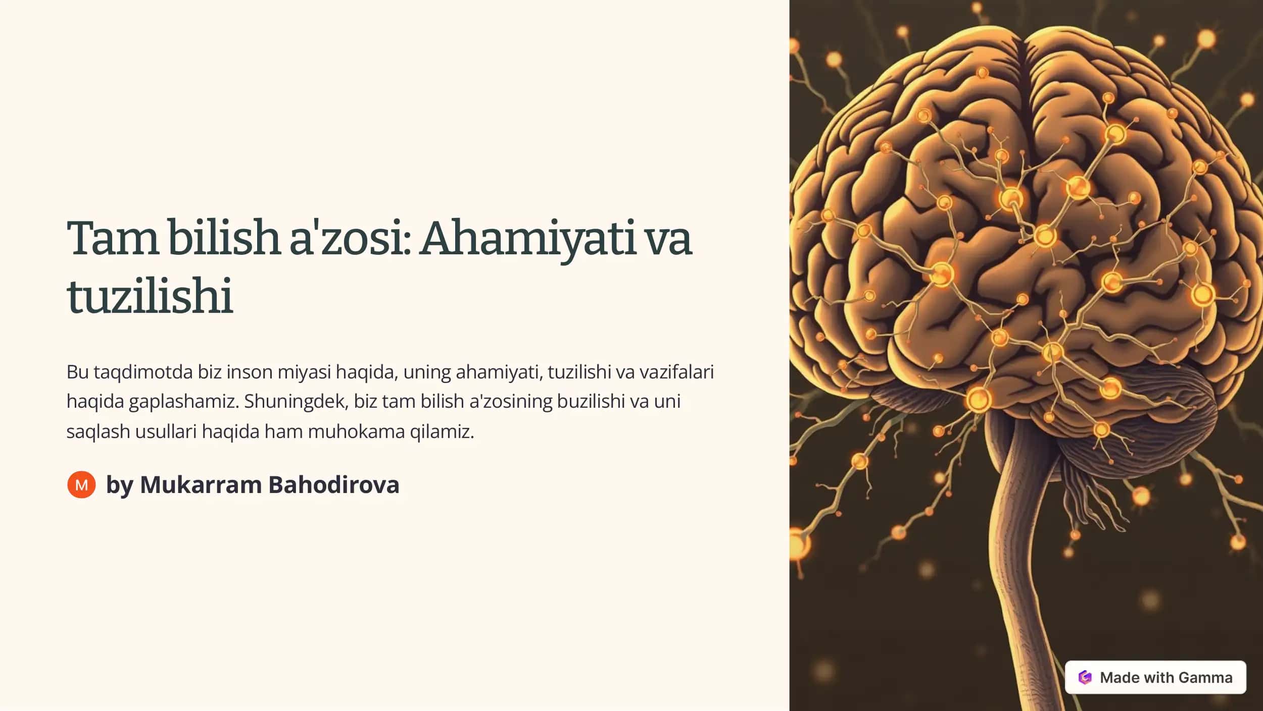 Tam bilish a'zosi: Ahamiyati va tuzilishi