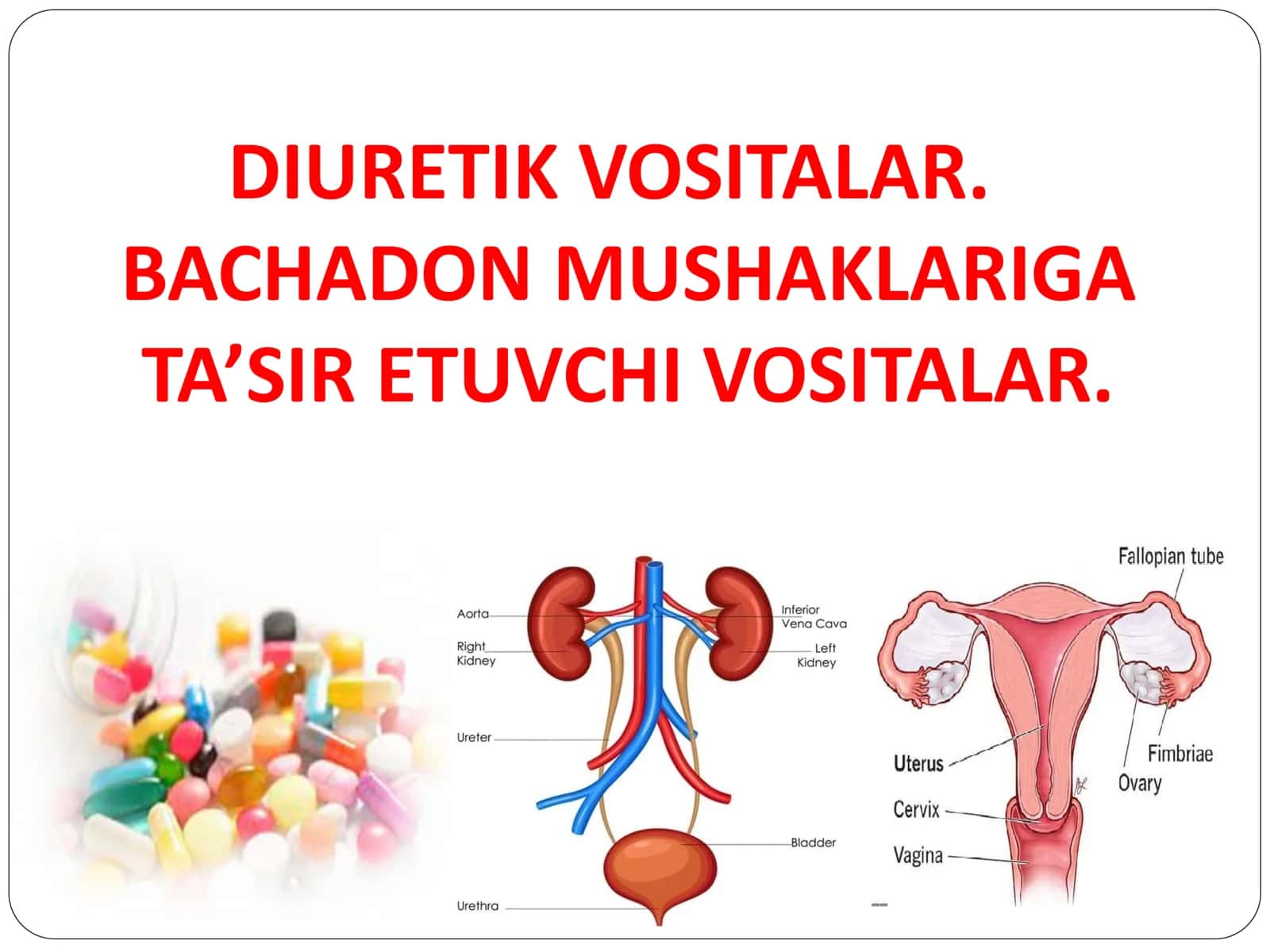 Diuretik vositalar va Bachadon mushaklariga ta'sir etuvchi dori vositalar