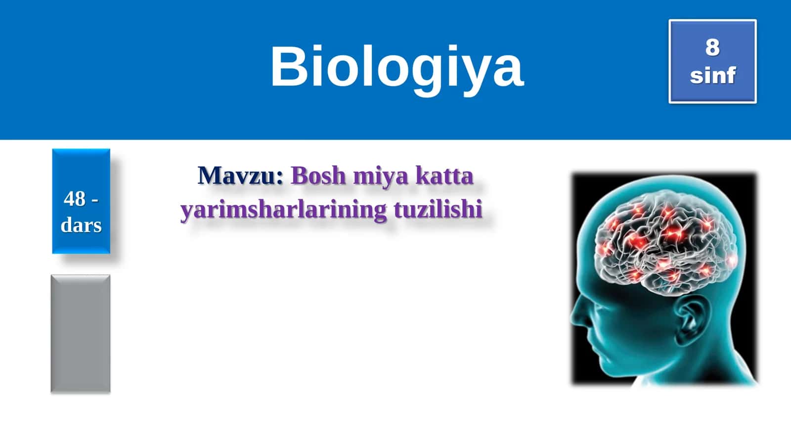 8-Sinf Biologiya: “Bosh Miya Katta Yarimsharlarining Tuzilishi” Taqdimot