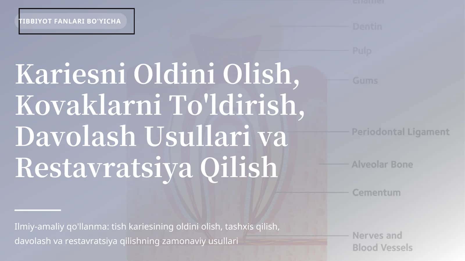 Kariesni Oldini Olish, Kovaklarni To'ldirish, Davolash Usullari va Restavratsiya Qilish
