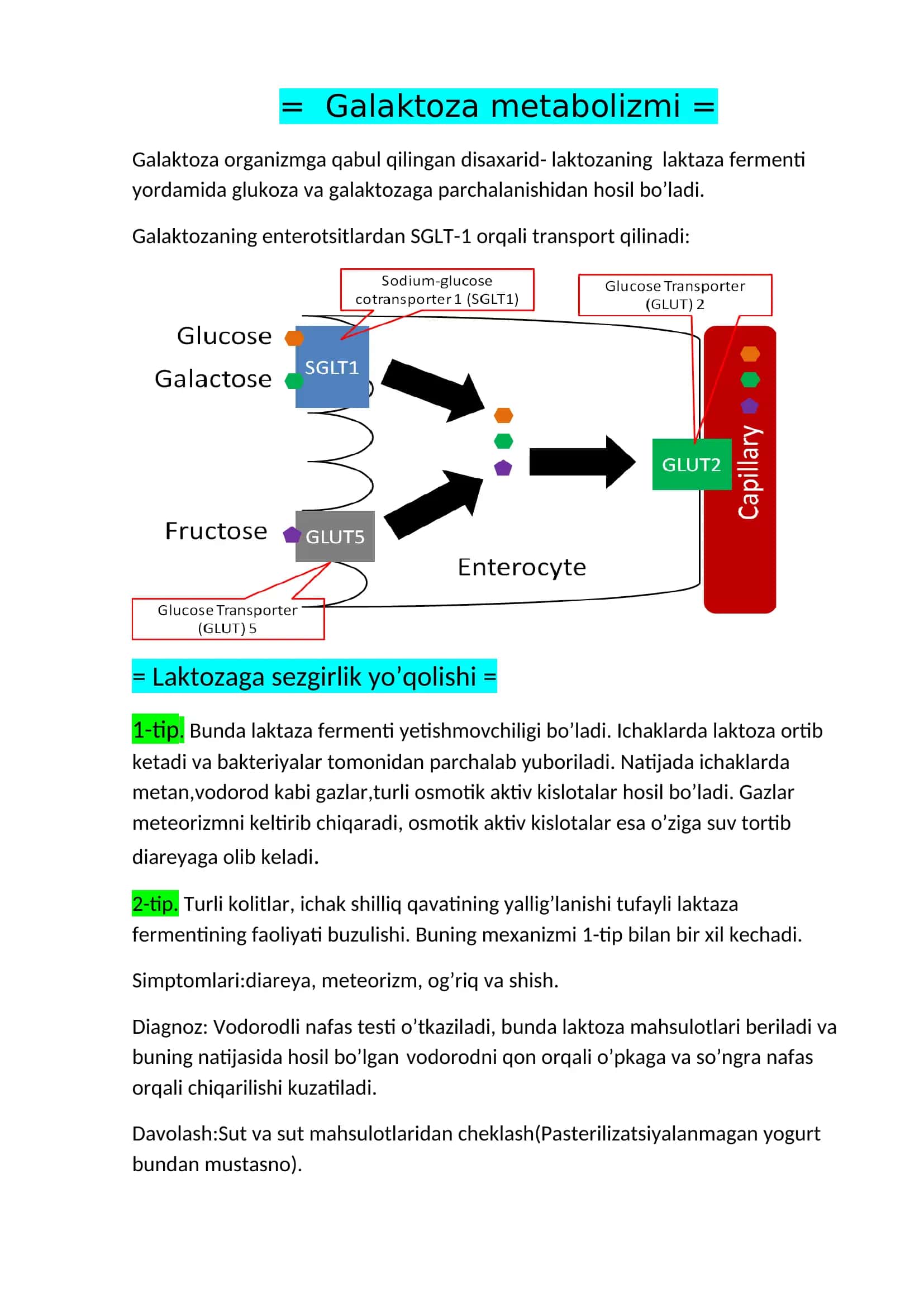Galaktoza metabolizmi
