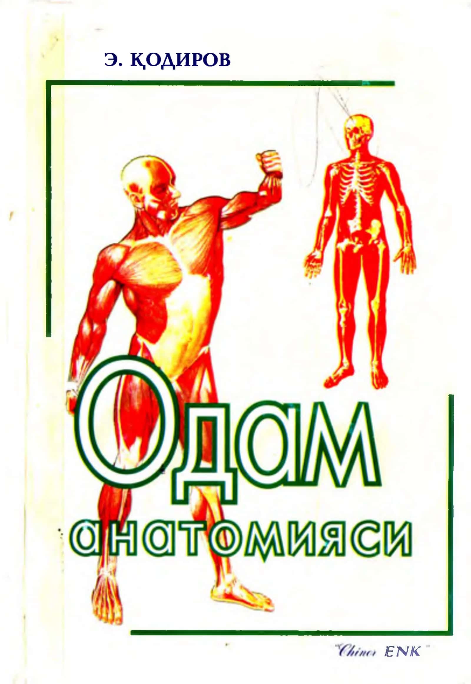 ОДАМ АНАТОМИЯСИ