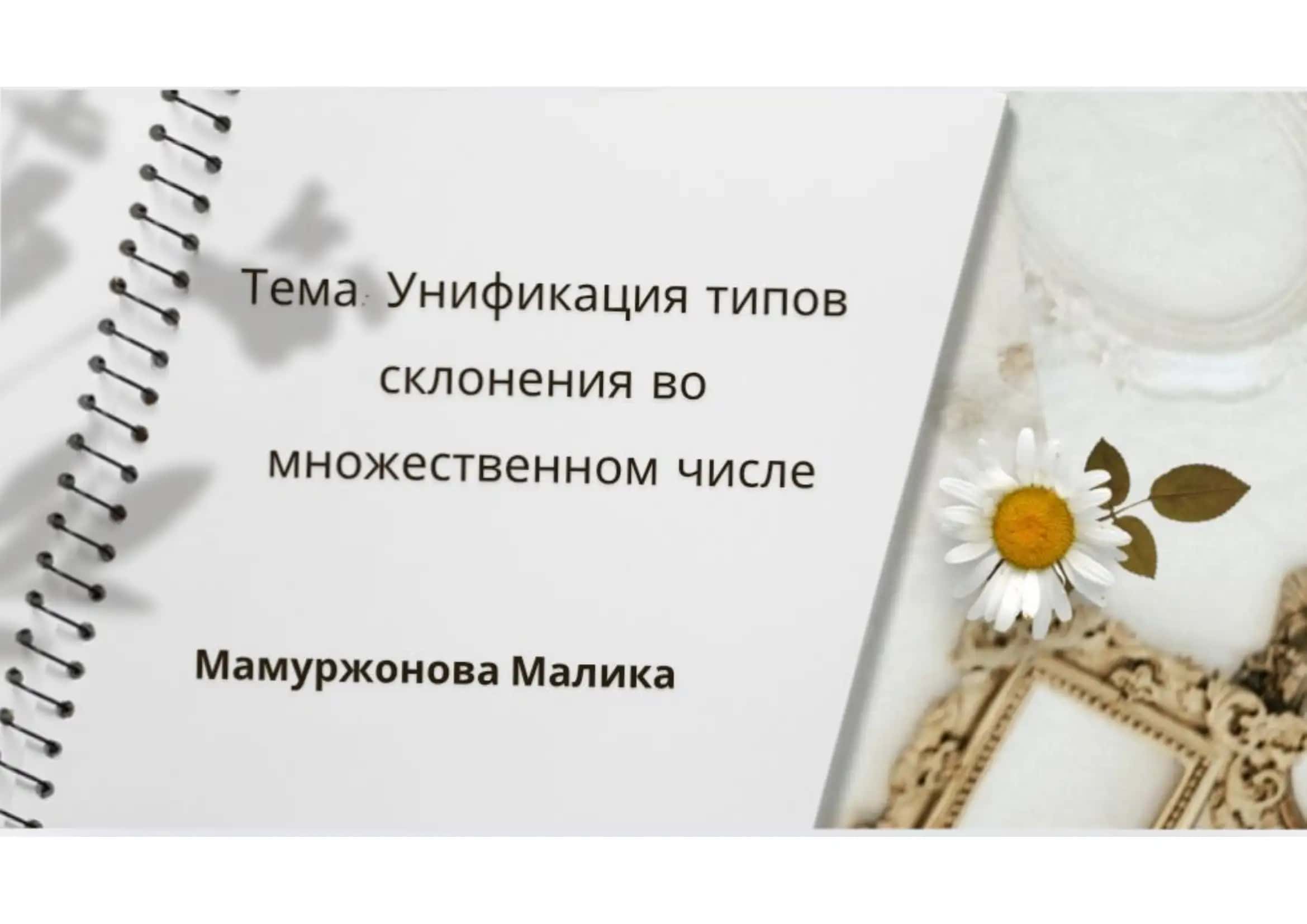 Унификация типов склонение во множественном числе