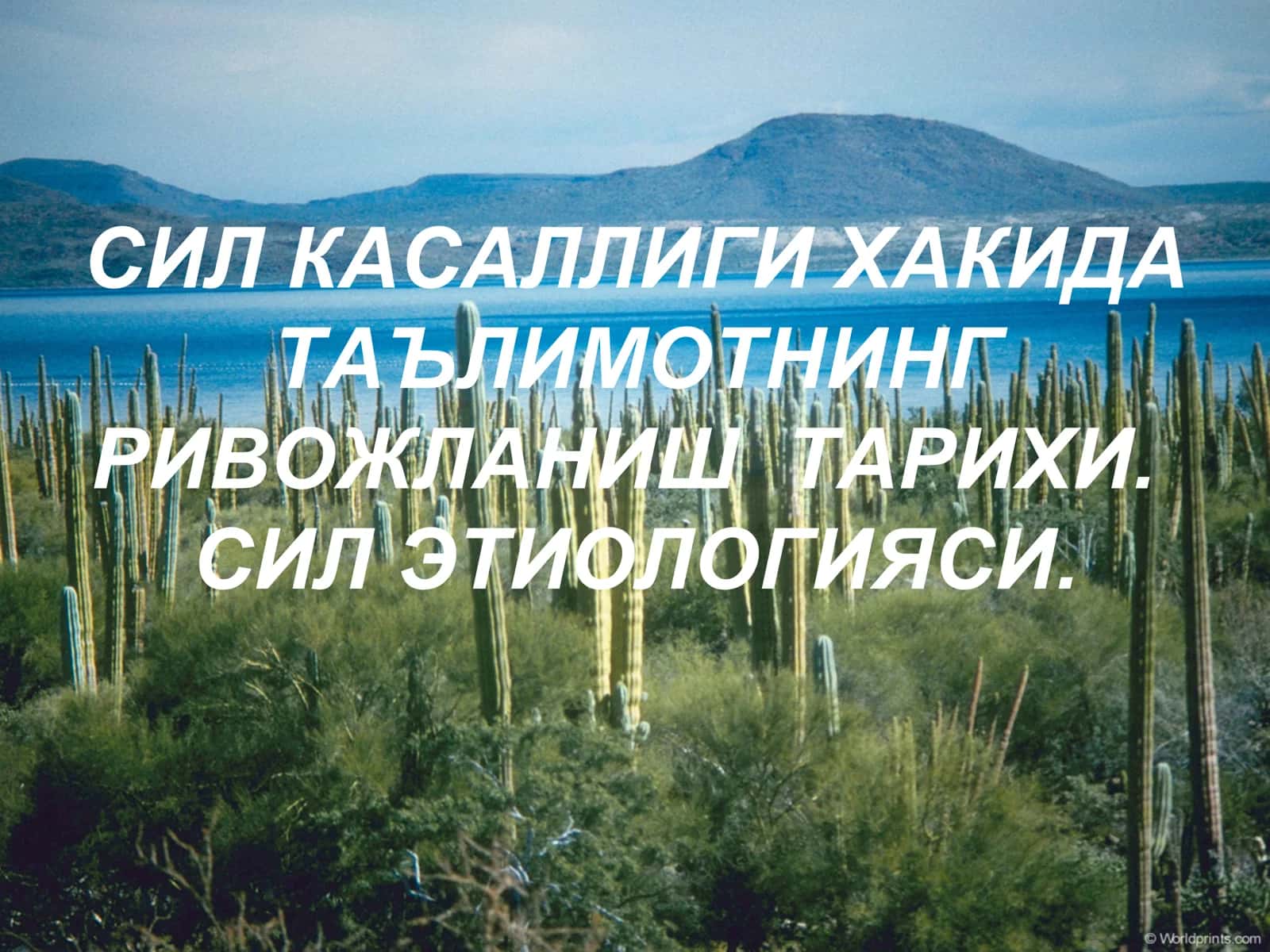 Сил касаллиги хакида таълимот