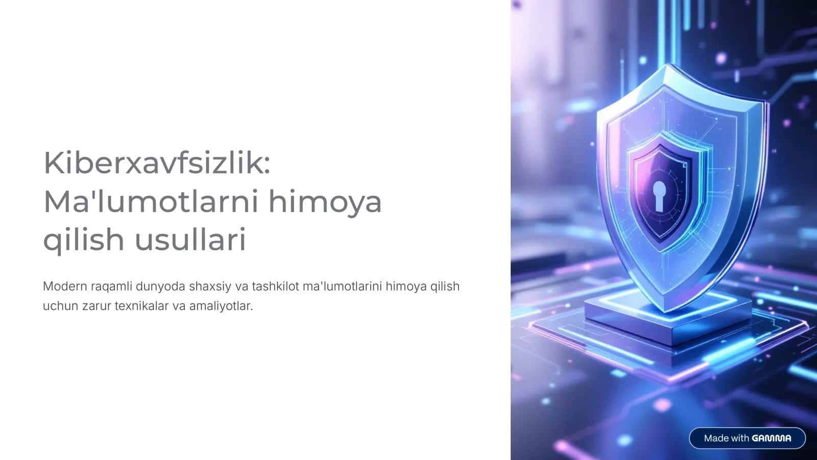 Kiberxavfsizlik: Ma’lumotlarni himoya qilish usullari.