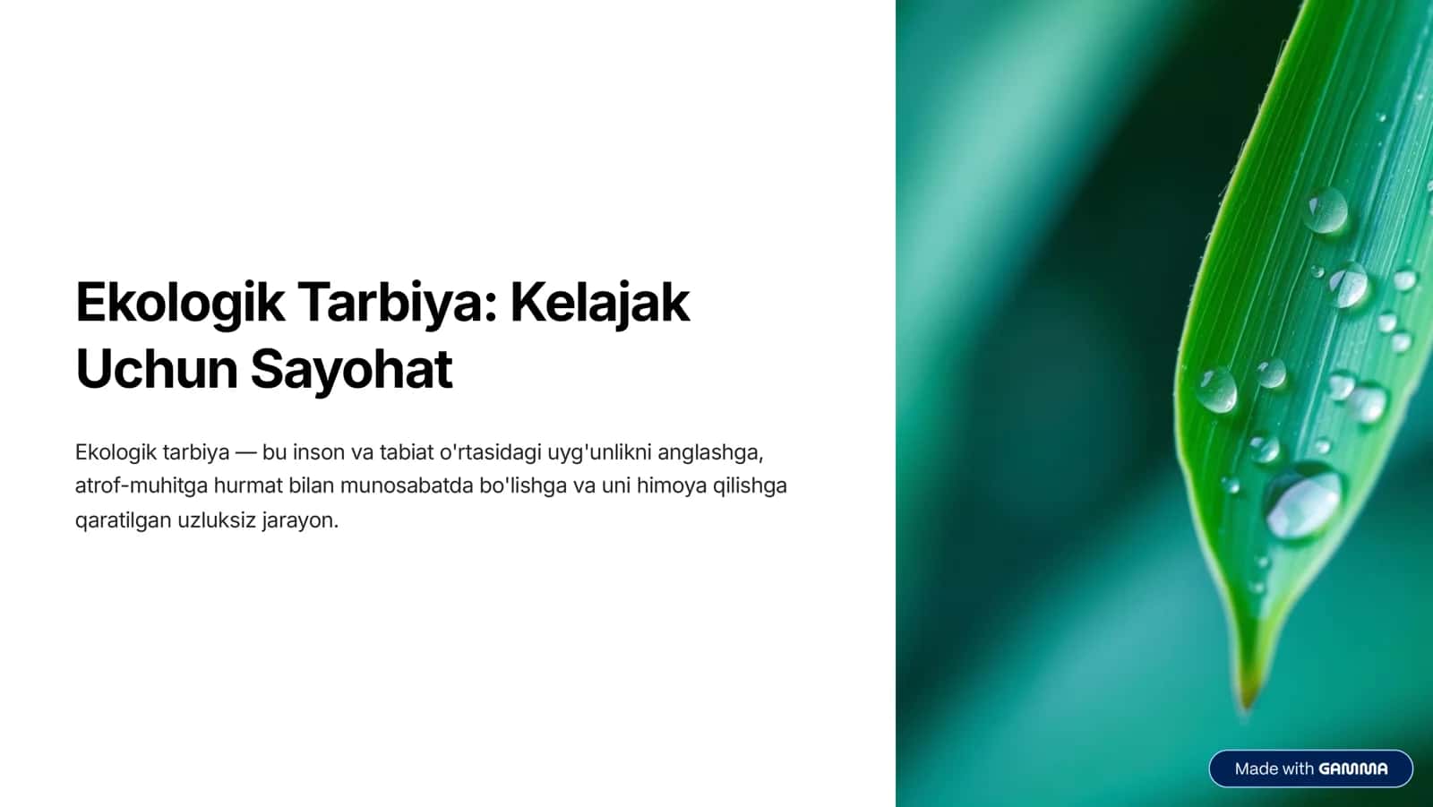 Ekologik Tarbiya: Kelajak Uchun Sayohat