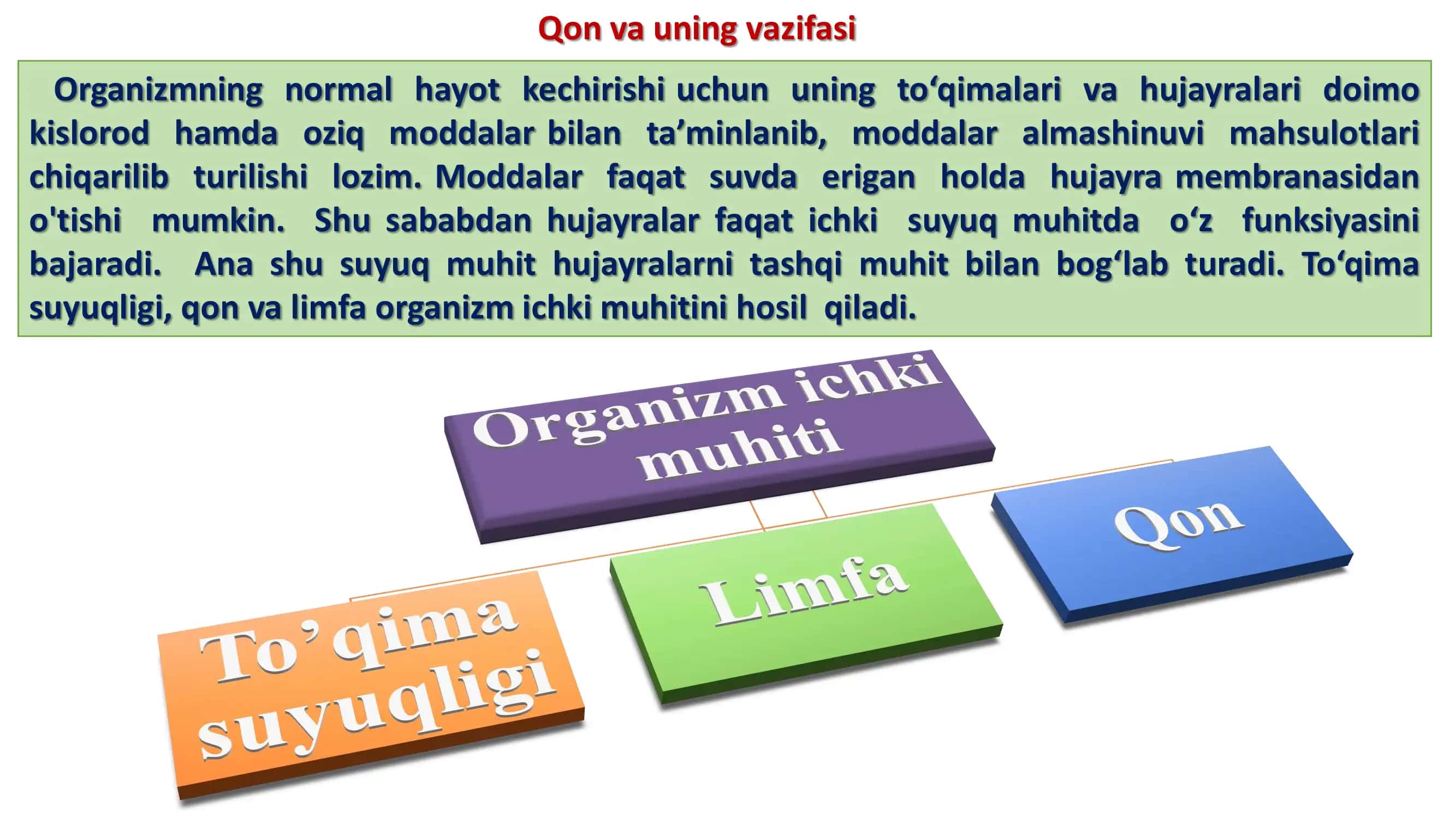 Qon va uning vazifasi