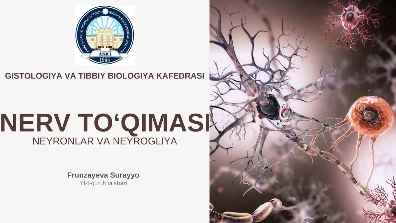 Nerv To'qimasi