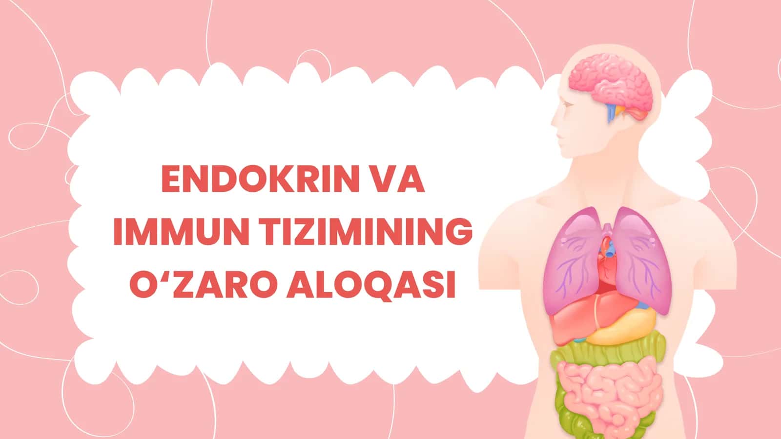 Endokrin va immun tizimining o‘zaro aloqasi