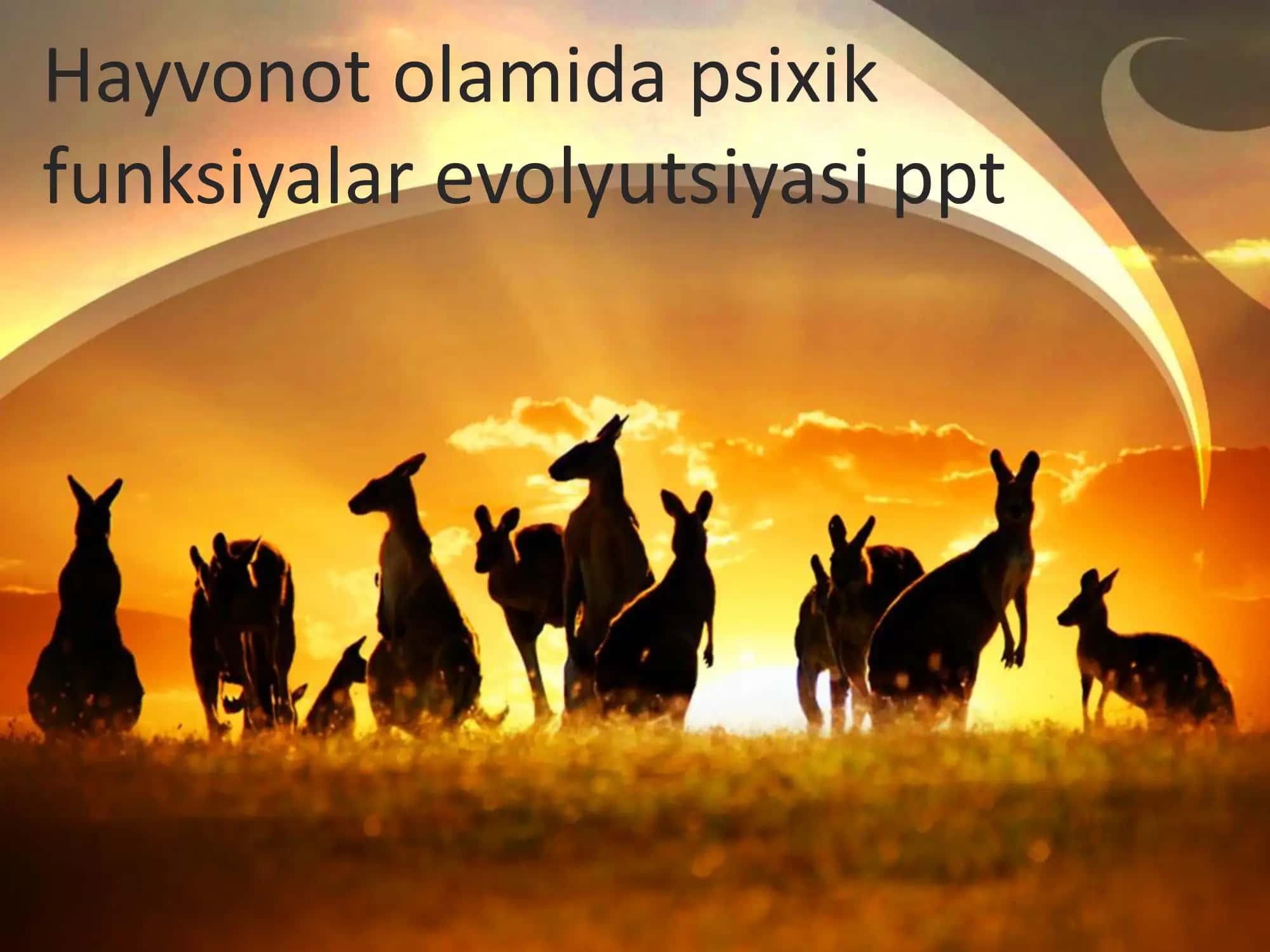 Psixik funksiyalar evolyutsiyasi