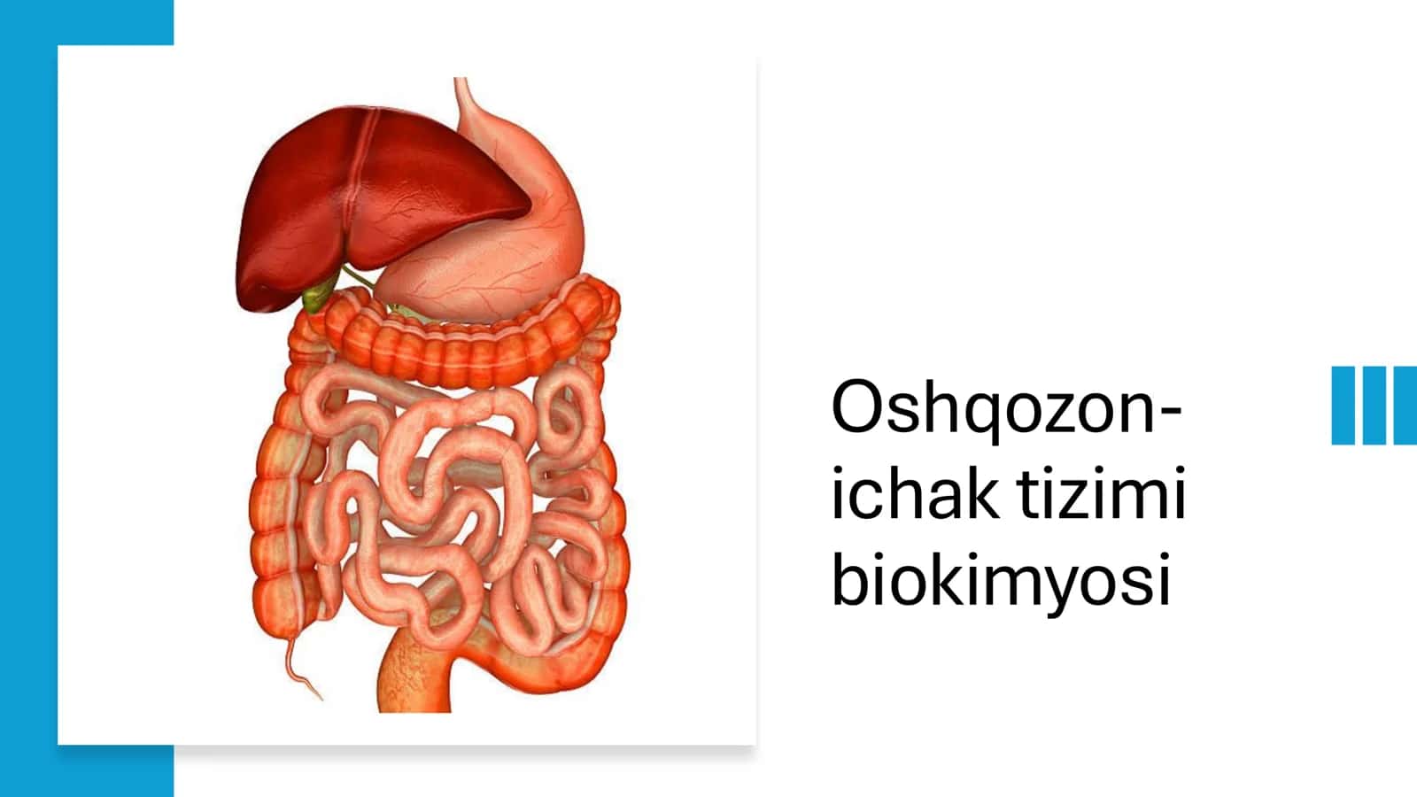 Oshqozon- ichak tizimi biokimyosi