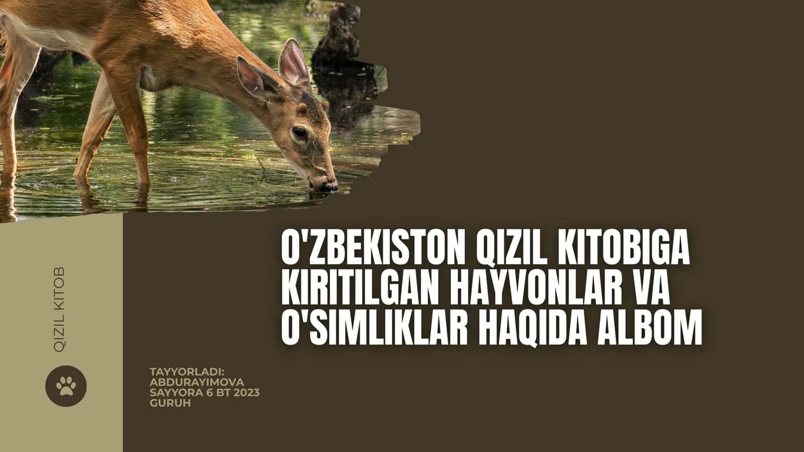 O'ZBEKISTON QIZIL KITOBIGA KIRITILGAN HAYVONLAR VA O'SIMLIKLAR HAQIDA ALBOM