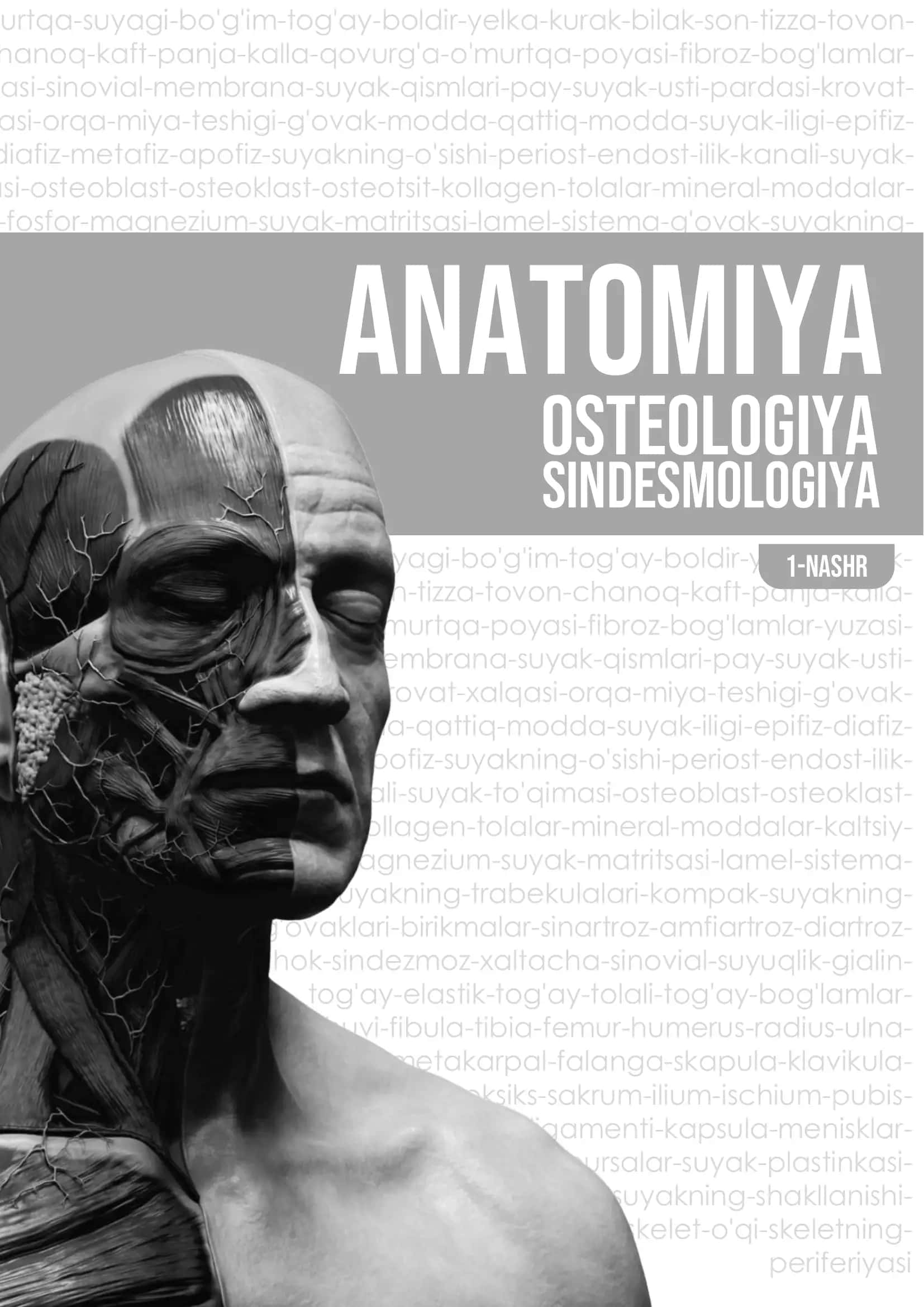 Umurtqa-suyagi